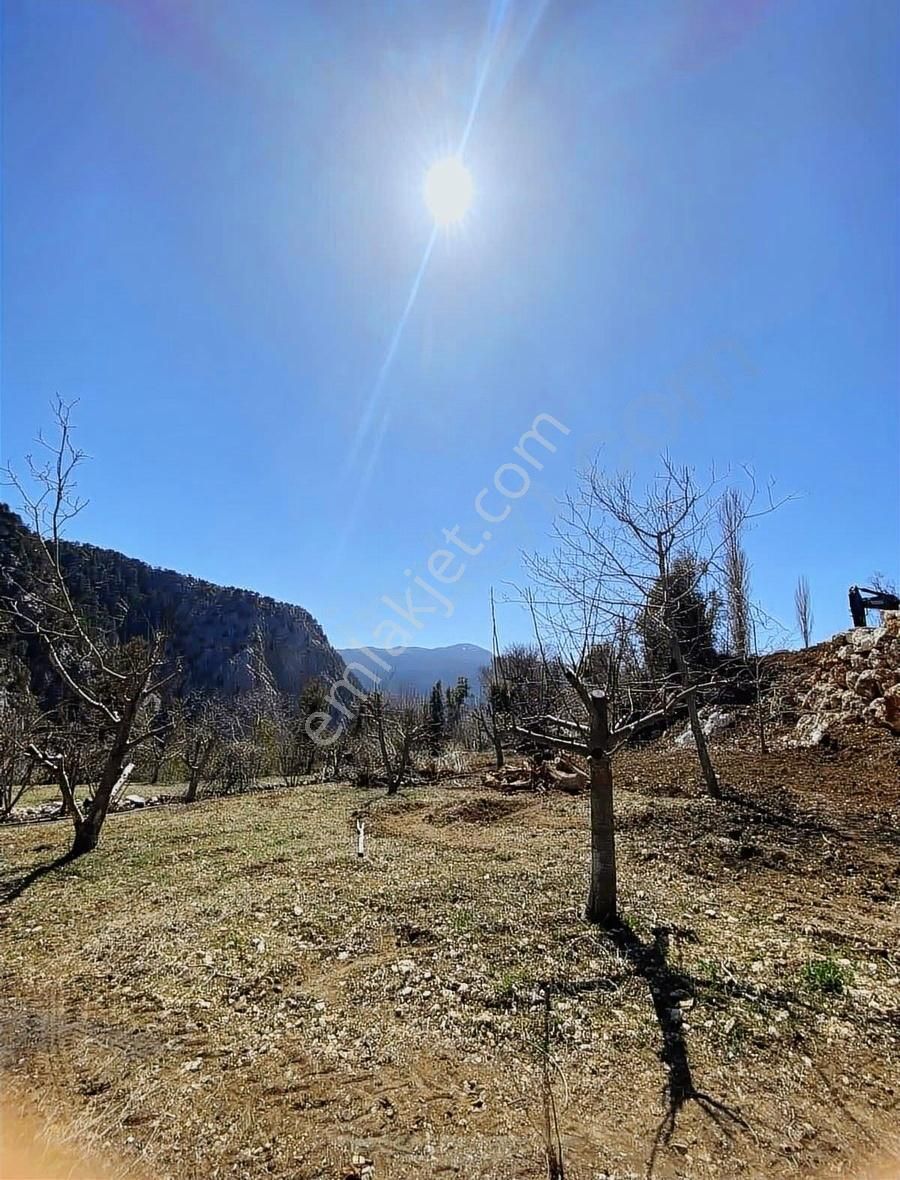 Antalya Kaş'ta Satılık 1967m2 Ceviz Bahçesi - Görsel 5