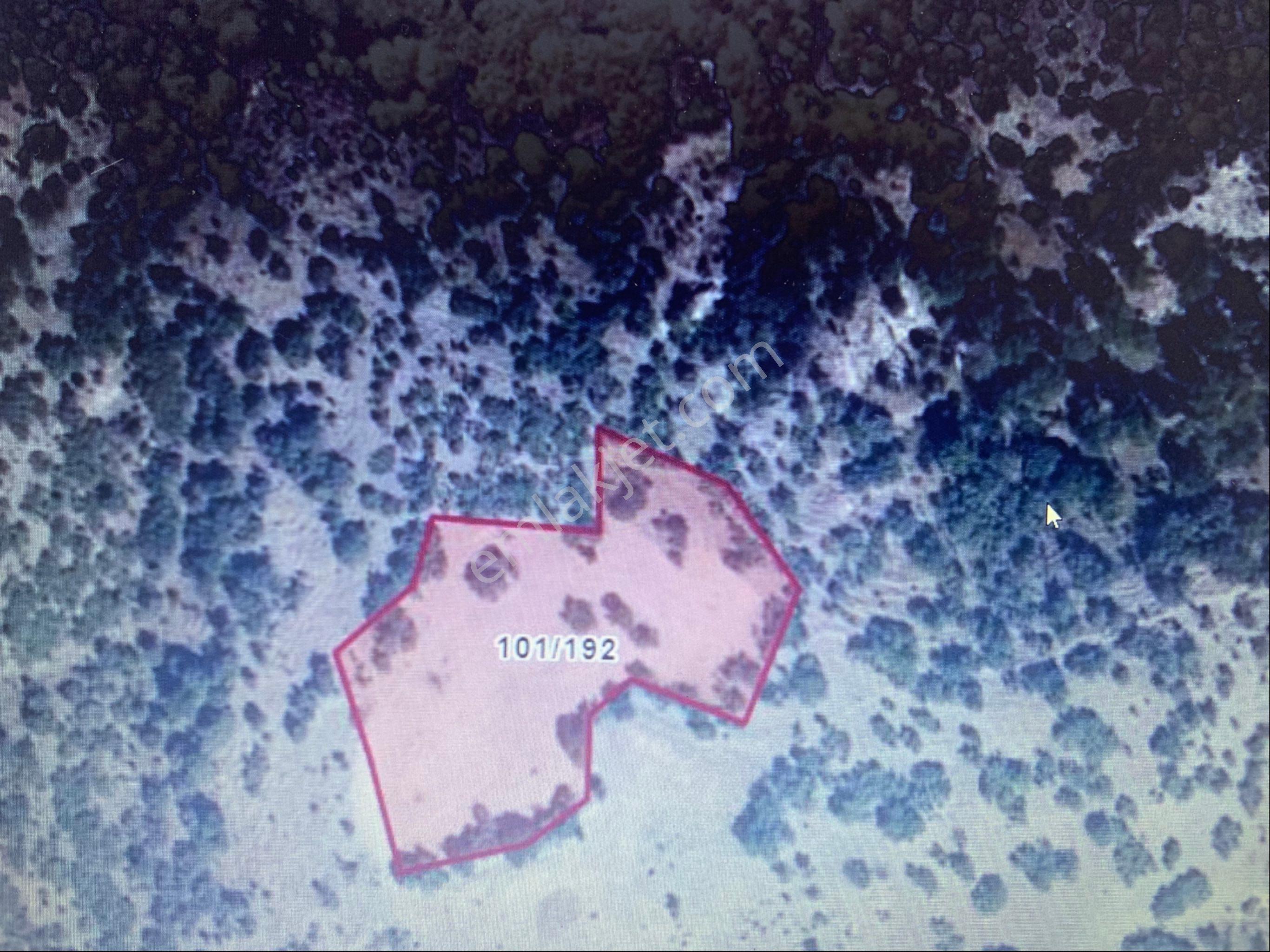 Yatırımlık Fırsat Arazi - Görsel 3