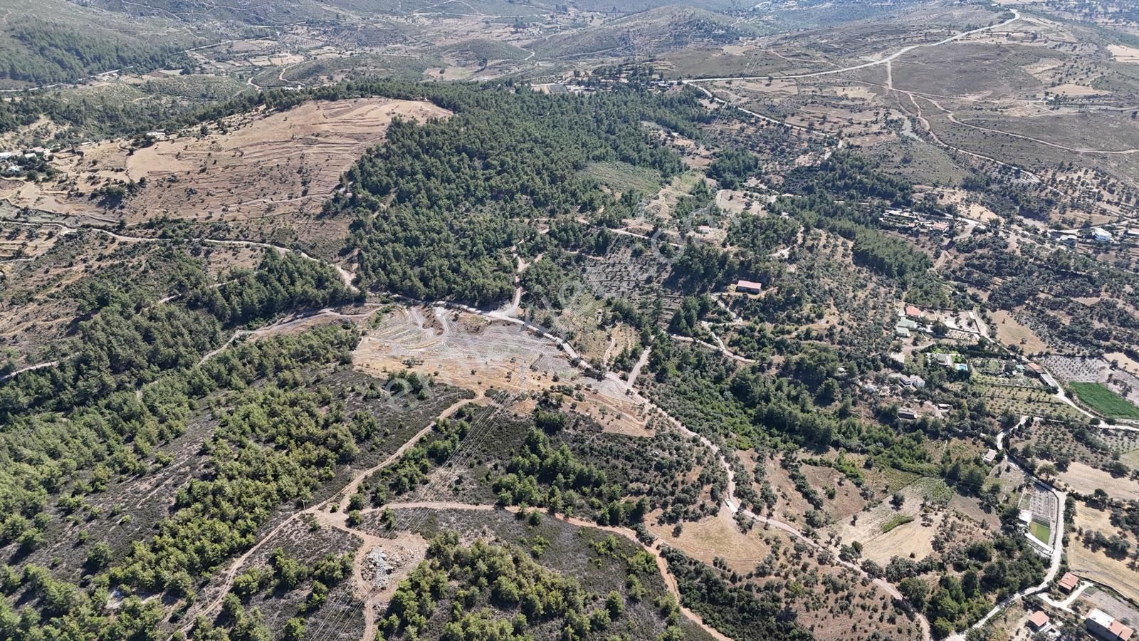 Milas Demirciler'de 6.847 M² Yatırımlık Tarla – Doğa İçinde, Uygun Fiyatlı!