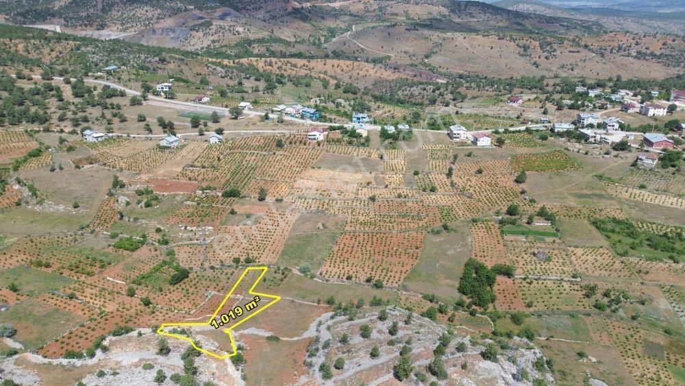 Hadim Bolat Da 1.019 M2 Müstakil Tapulu Tarla