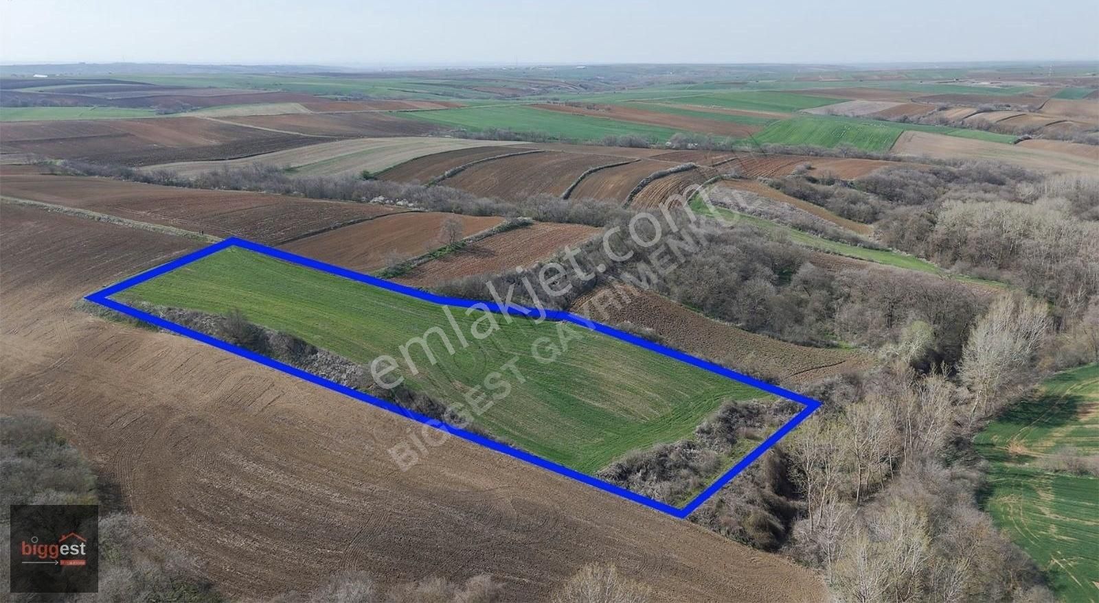 Tekirdağ Karacakılavuz Da Fırsat 11 Dönüm Tarla