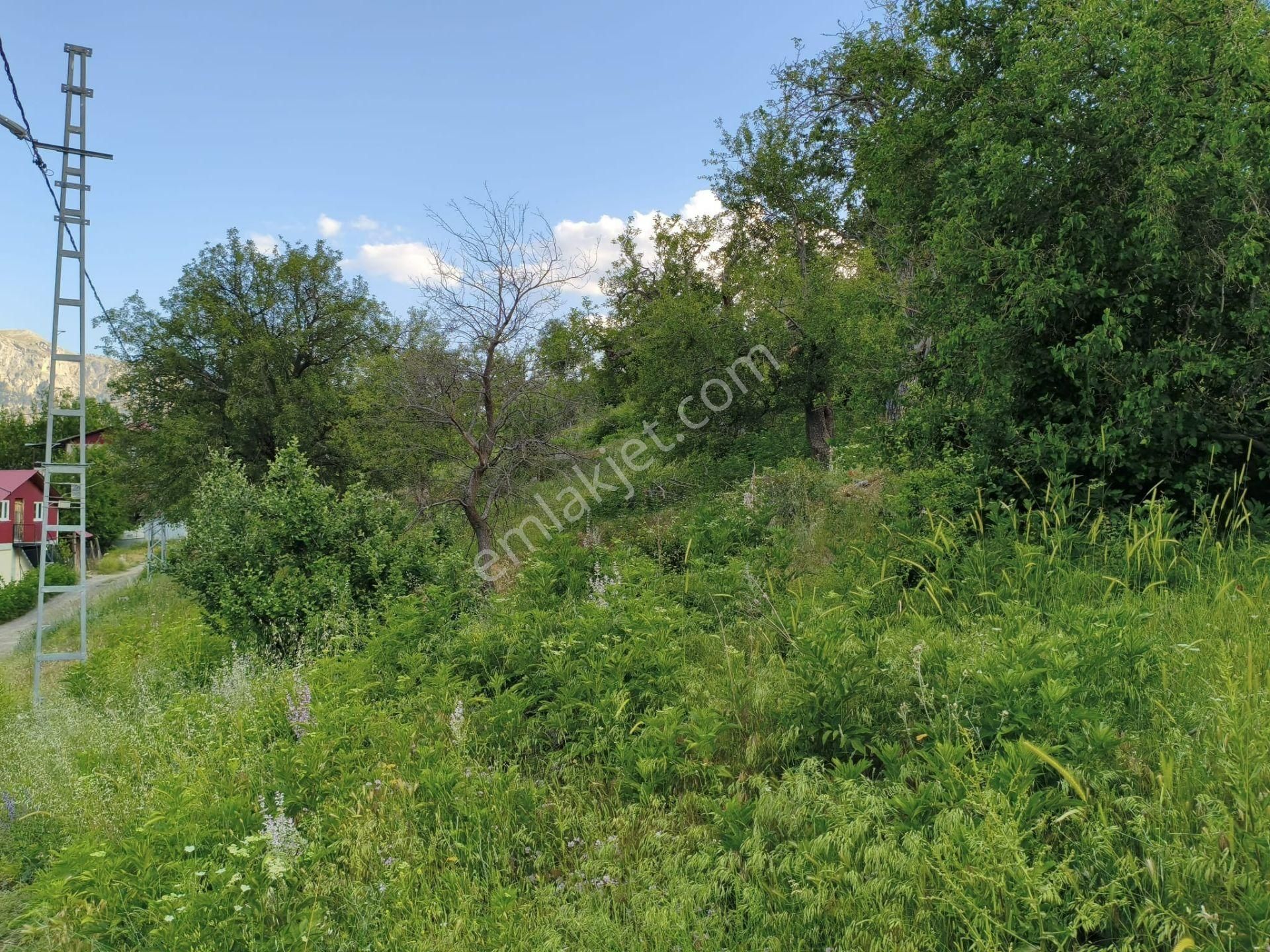 Pozantı Kar Emlaktan Akçatekir Şıhlıda Doğa Manzaralı 230 M2 Satılık Yaylalık Arsa - Görsel 6