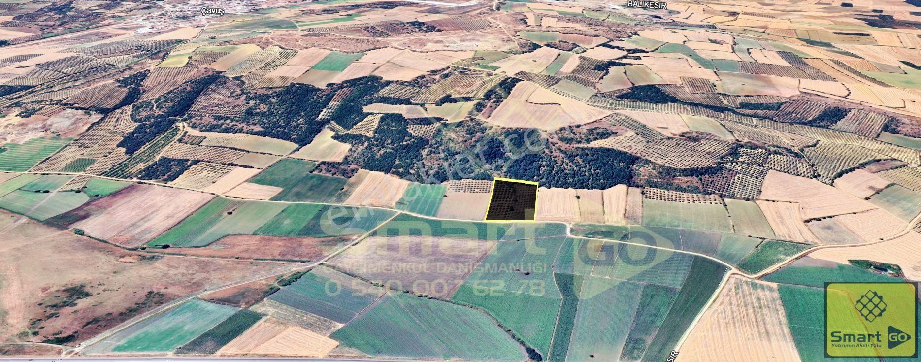 Çavuşköy'de Karacabey Yolu Dibinde Satılık 12400 M² Tarla - Görsel 24