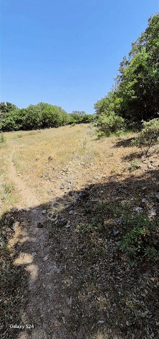 İvrindi Gömeniç'te Yatırım Fırsatı