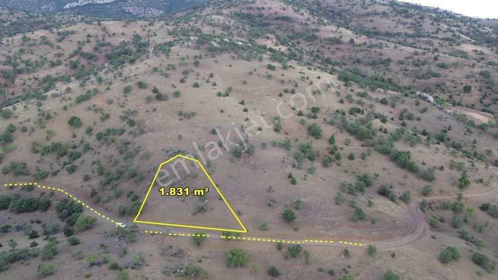 Güneysınır Gürağaç Da 1.831 M2 Müstakil Tapulu Bağ