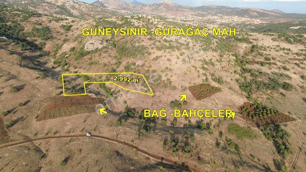 Güneysınır Gürağaç Da 2.992 M2 Müstakil Tapulu Bağ