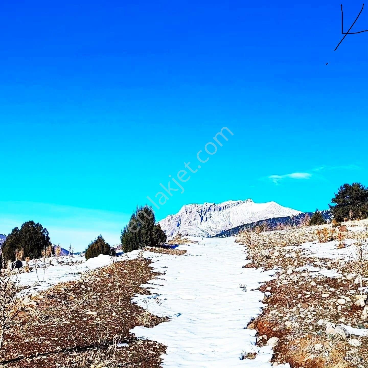 Pozantı Kar Emlaktan Aşçıbekirli Fenese Mevkiinde Satılık Yaylalık 400 M2 Arsa - Görsel 6