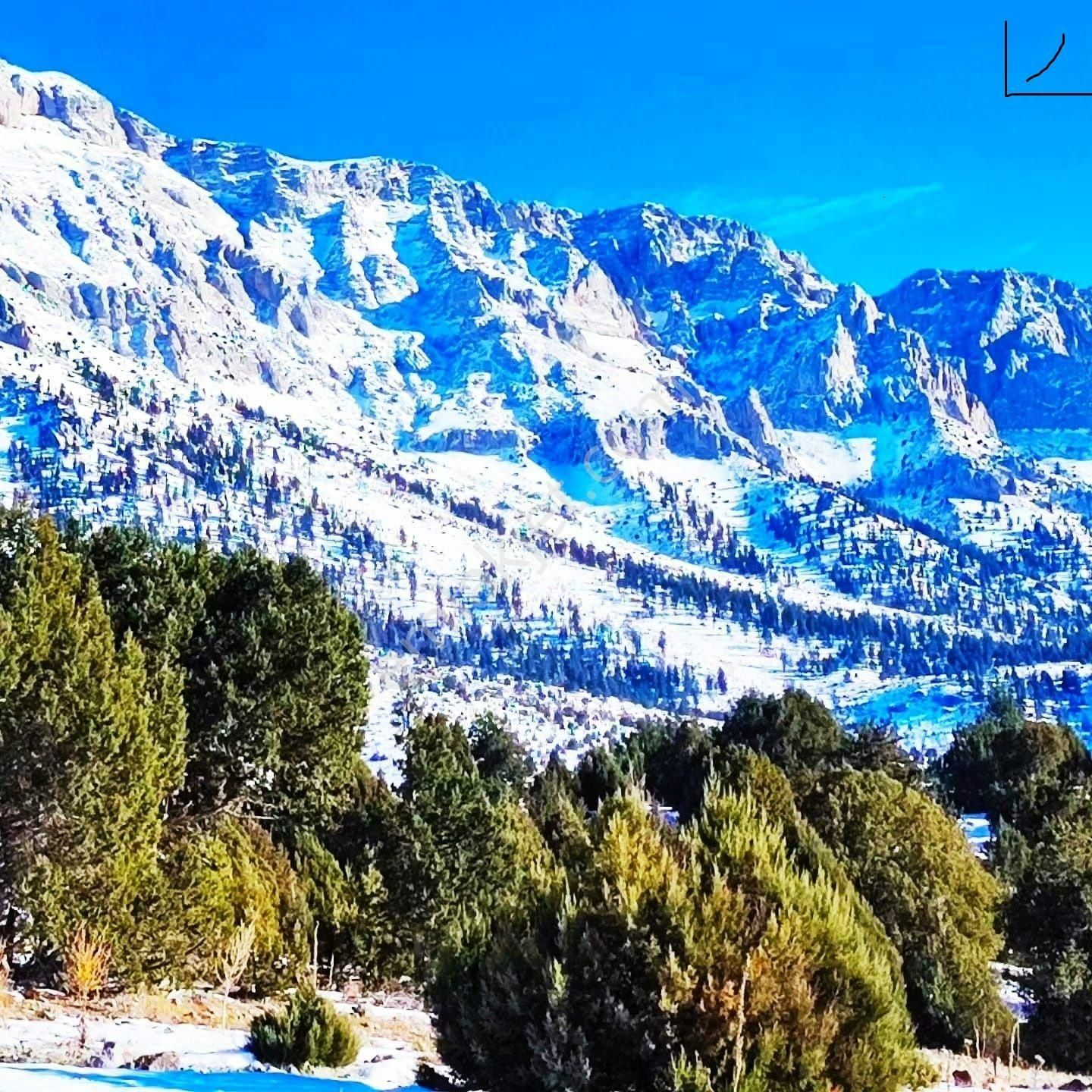 Pozantı Kar Emlaktan Aşçıbekirli Fenese Mevkiinde Satılık Yaylalık 400 M2 Arsa - Görsel 8