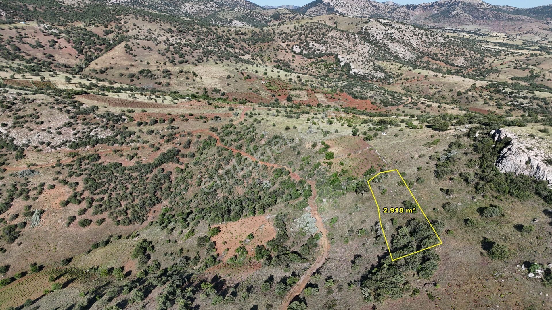 Güneysınır Gürağaç Da 2.918 M2 Müstakil Tapulu Tarla