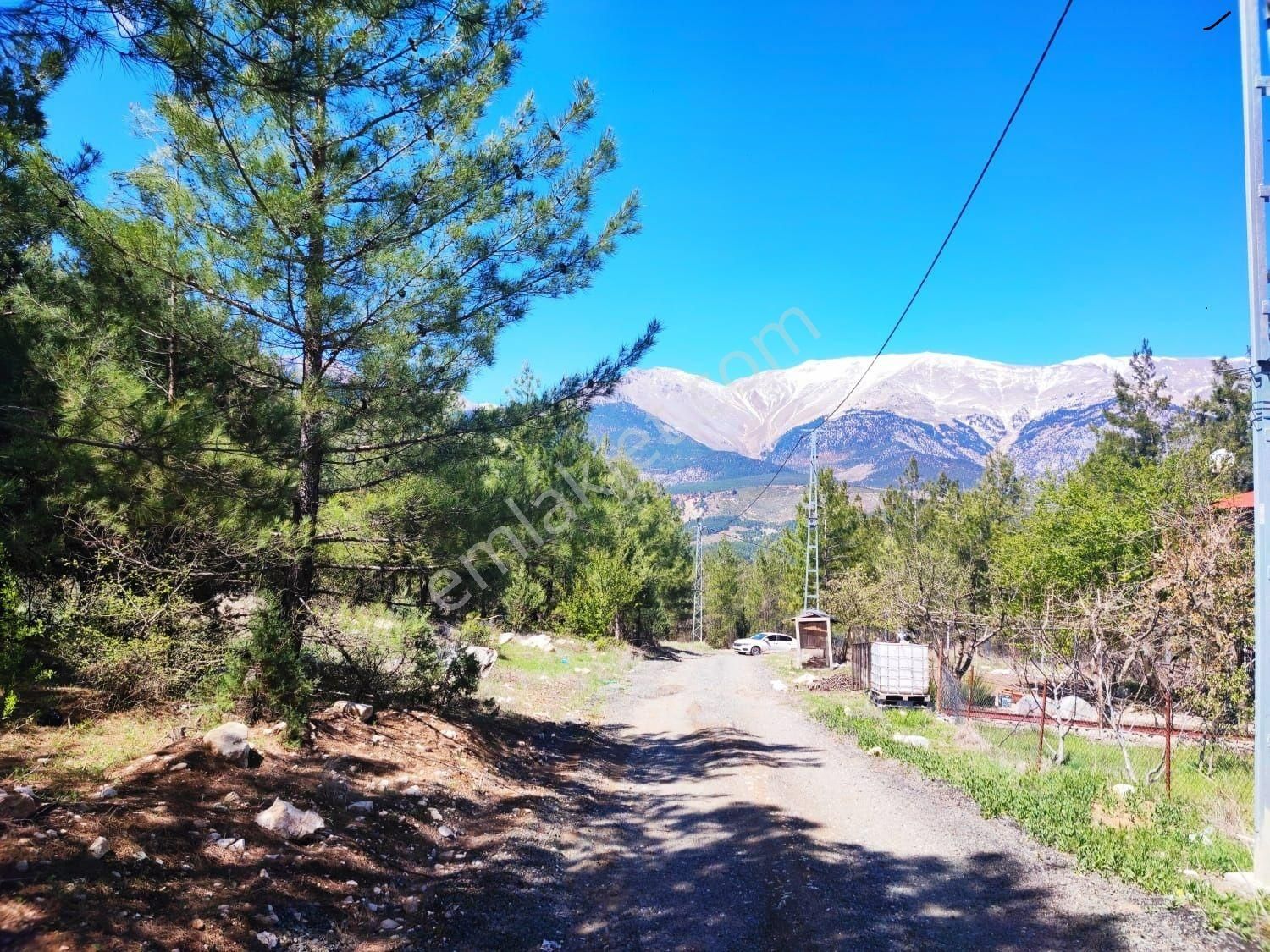 Pozantı Kar Emlaktan Eski Konacık Doğa Manzaralı İmarlı İfrazlı Yaylalık Satılık 250 M2 Arsa - Görsel 6