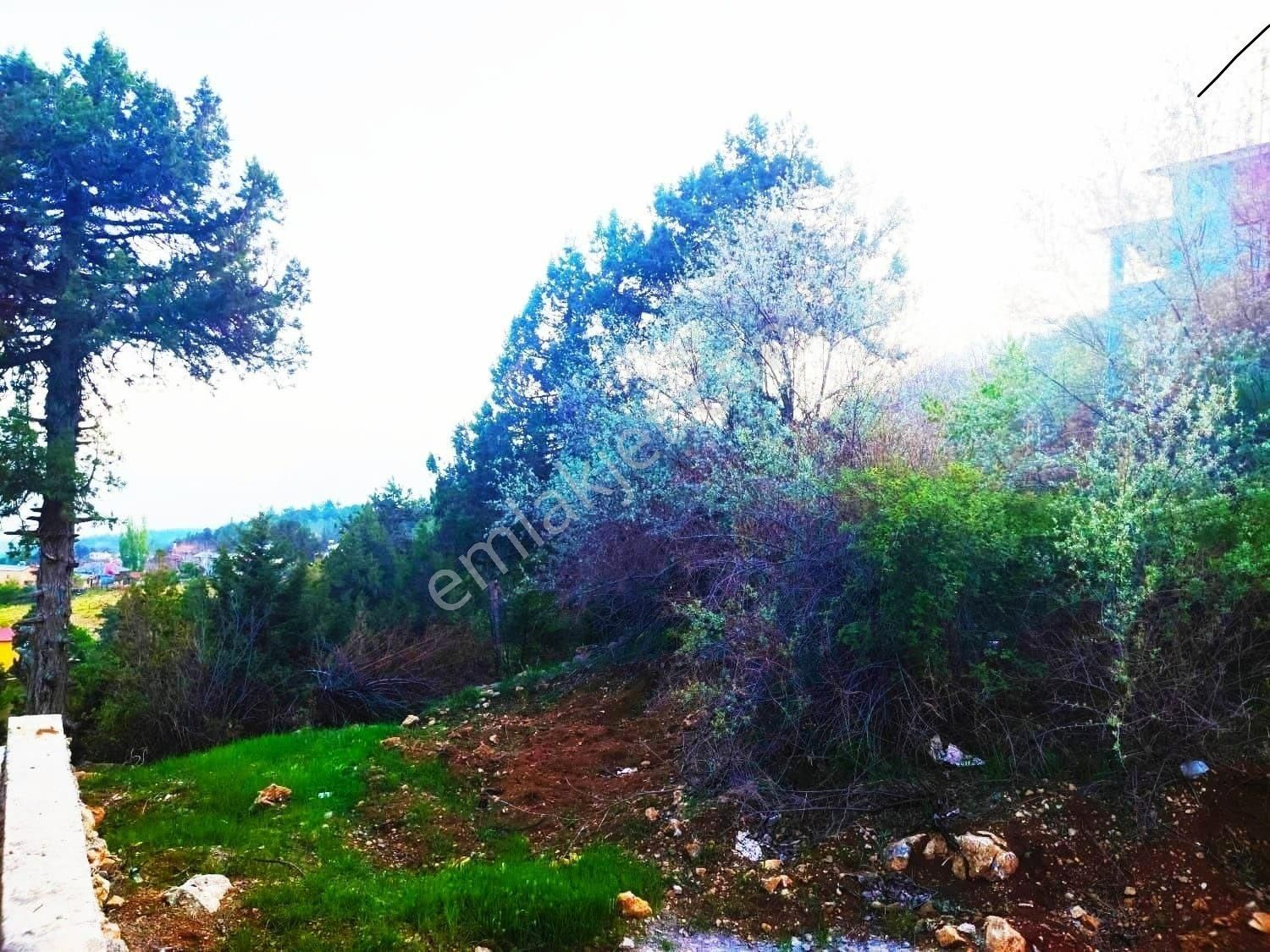 Pozantı Kar Emlaktan Fındıklı Köyünde Yüksek Konumlu Doğa Manzaralı 550 M2 Satılık Arsa - Görsel 7