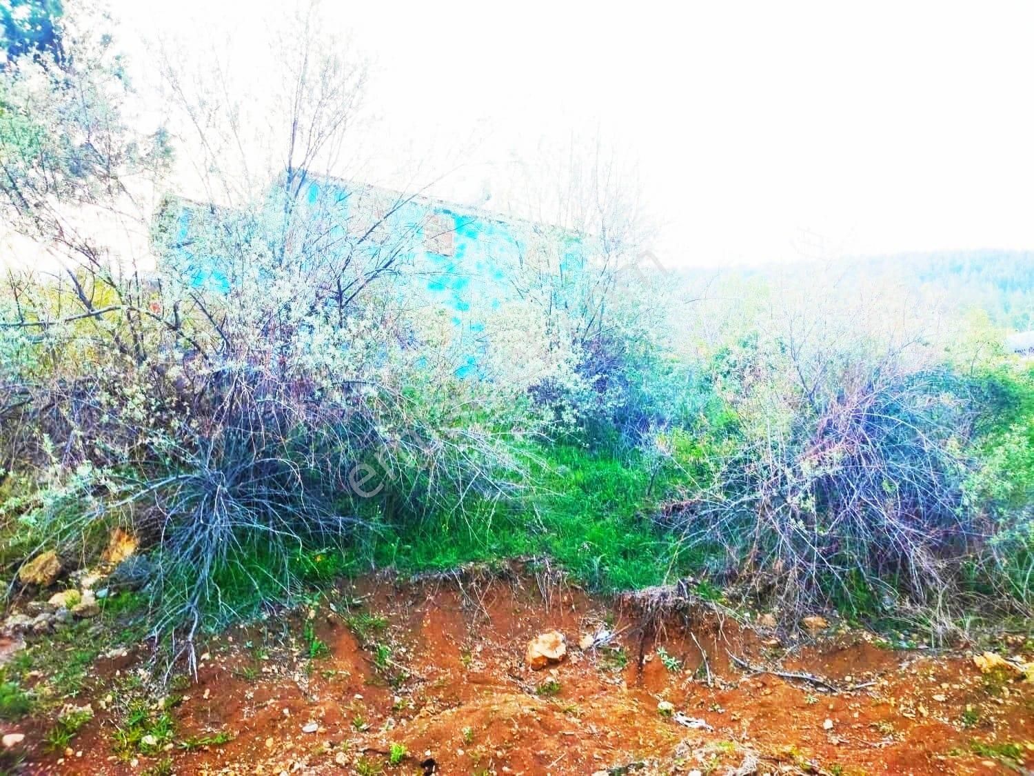 Pozantı Kar Emlaktan Fındıklı Köyünde Yüksek Konumlu Doğa Manzaralı 550 M2 Satılık Arsa - Görsel 8