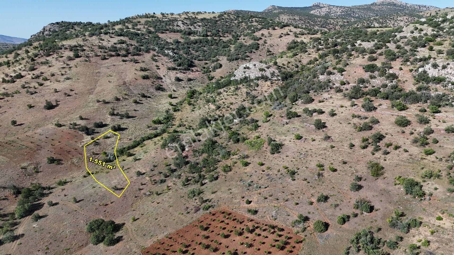 Güneysınır Gürağaç Da 1.551 M2 Müstakil Tapulu Bağ