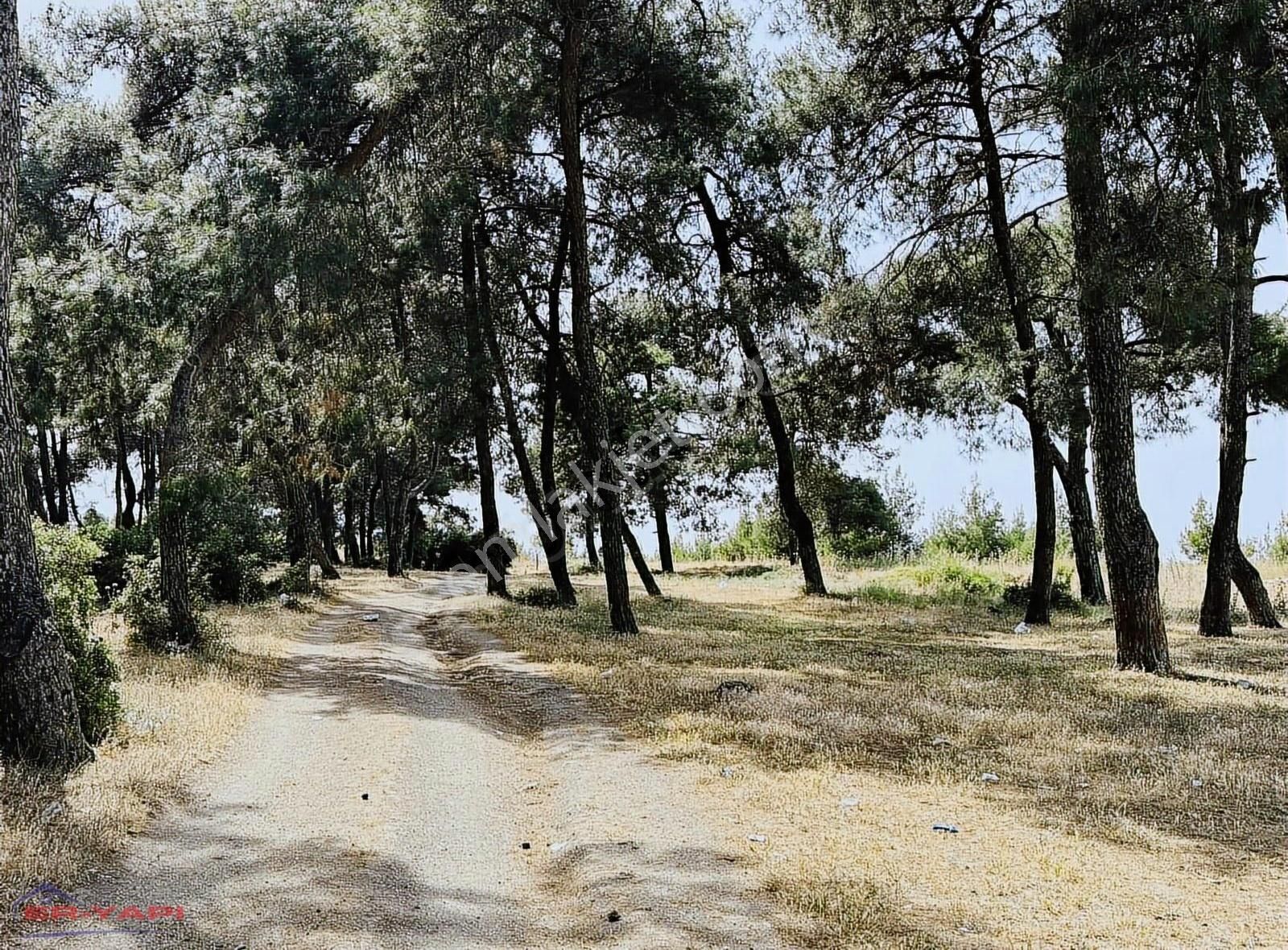 Eryapı Emlak Ofisinden Buca Batı Girişine Yakın 2.625m2 Tek Tapu - Görsel 2