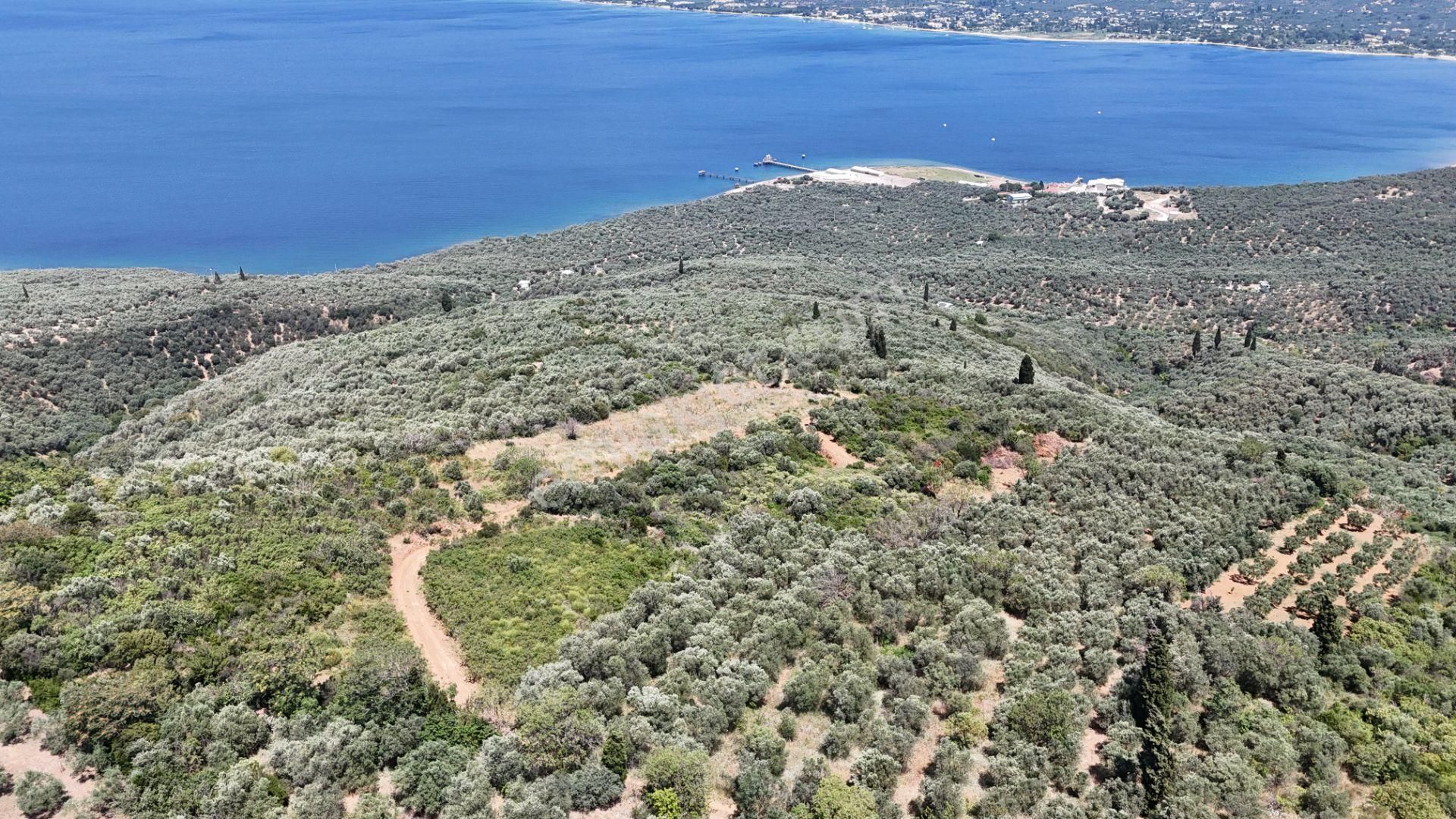 Çalışkanlar Gyo'dan Edincik'te Satılık 3480 M2 Satılık Fırsat! - Görsel 11