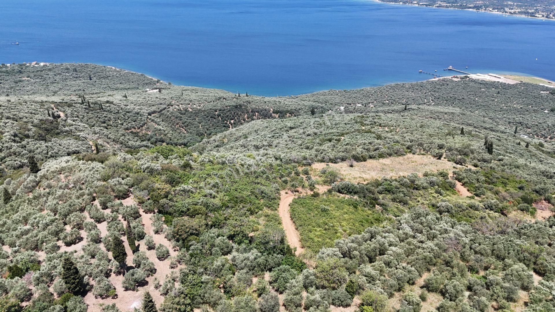 Çalışkanlar Gyo'dan Edincik'te Satılık 3480 M2 Satılık Fırsat! - Görsel 12