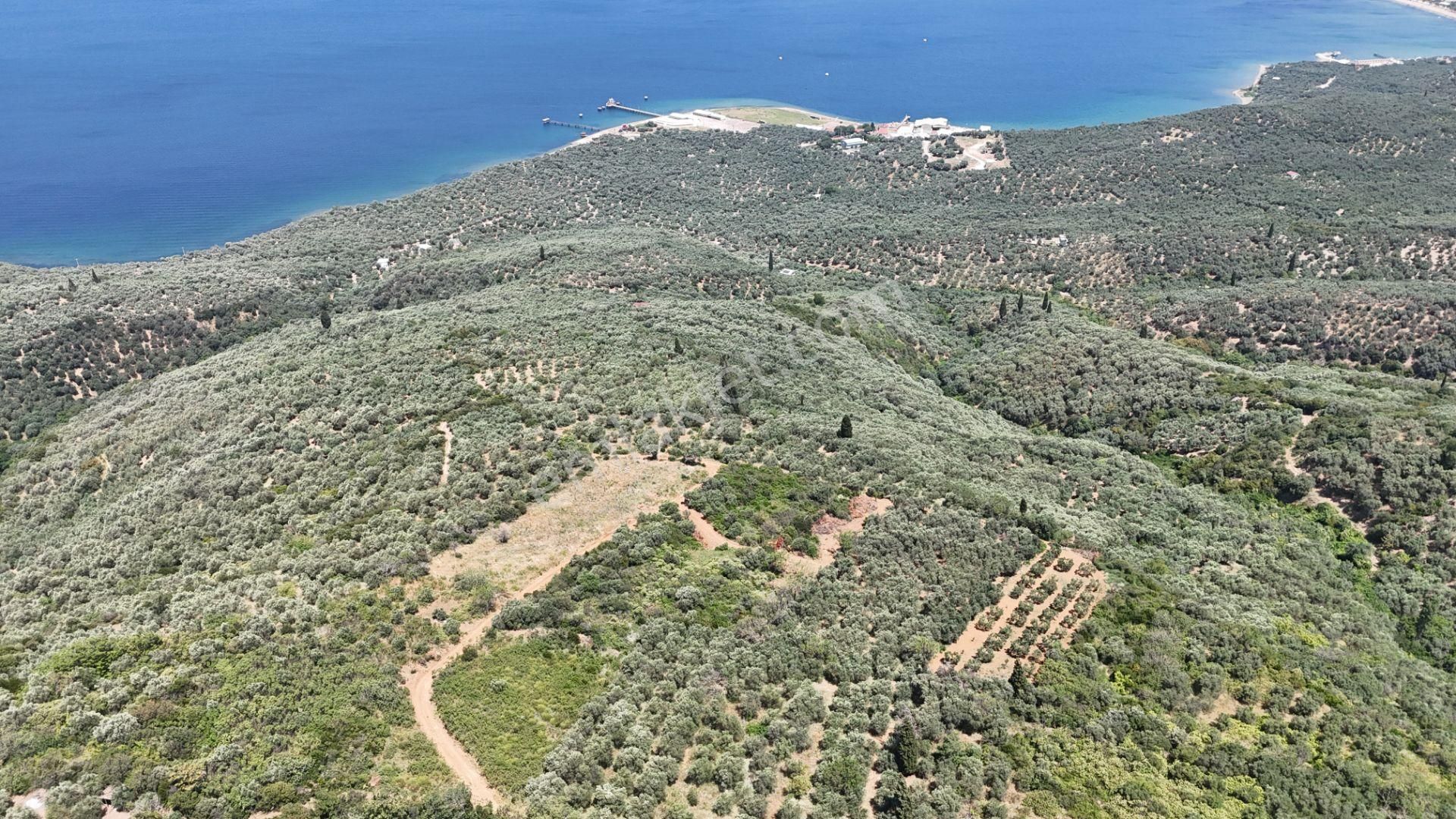 Çalışkanlar Gyo'dan Edincik'te Satılık 3480 M2 Satılık Fırsat! - Görsel 16