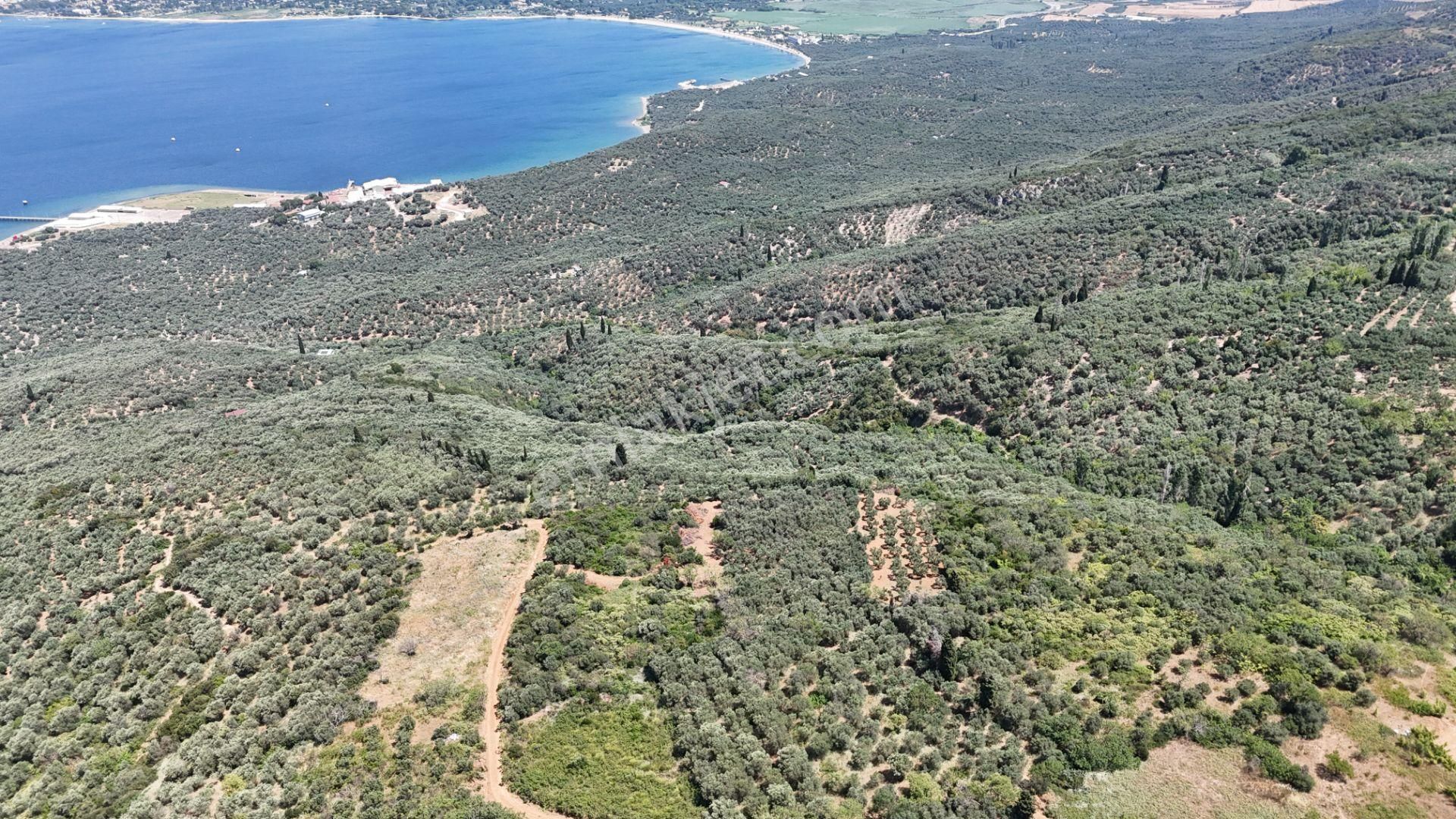 Çalışkanlar Gyo'dan Edincik'te Satılık 3480 M2 Satılık Fırsat! - Görsel 7