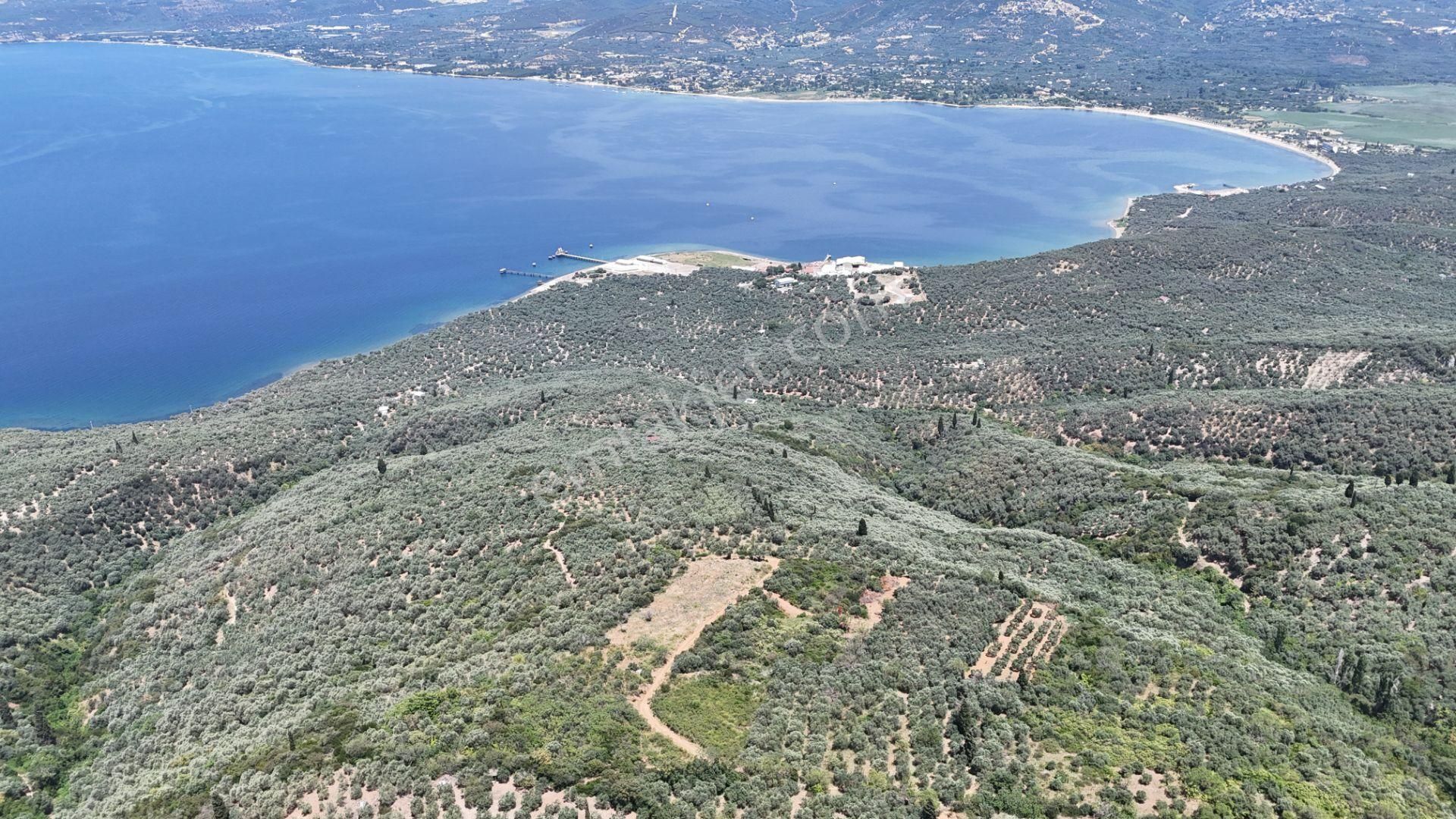 Çalışkanlar Gyo'dan Edincik'te Satılık 3480 M2 Satılık Fırsat! - Görsel 22