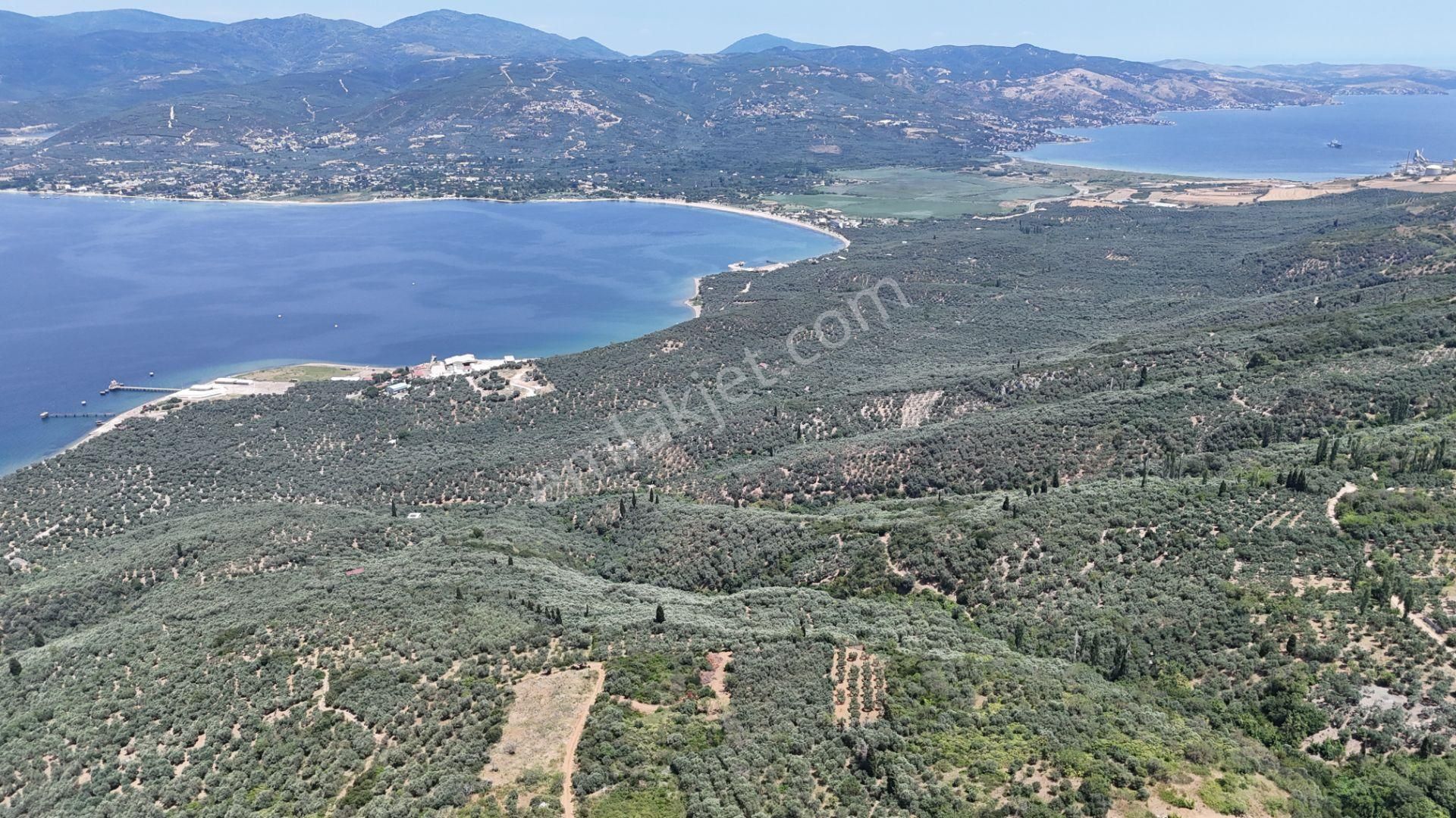 Çalışkanlar Gyo'dan Edincik'te Satılık 3480 M2 Satılık Fırsat! - Görsel 29