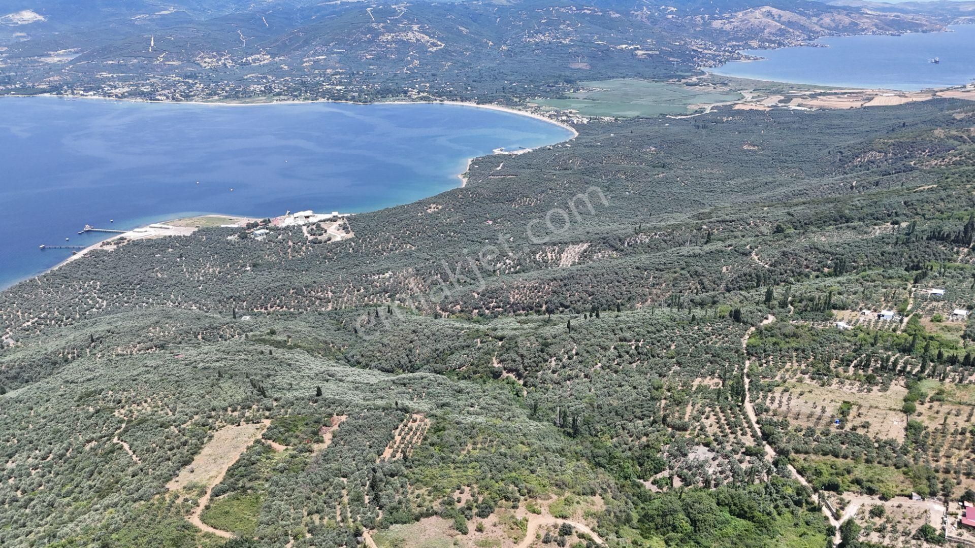 Çalışkanlar Gyo'dan Edincik'te Satılık 3480 M2 Satılık Fırsat! - Görsel 19