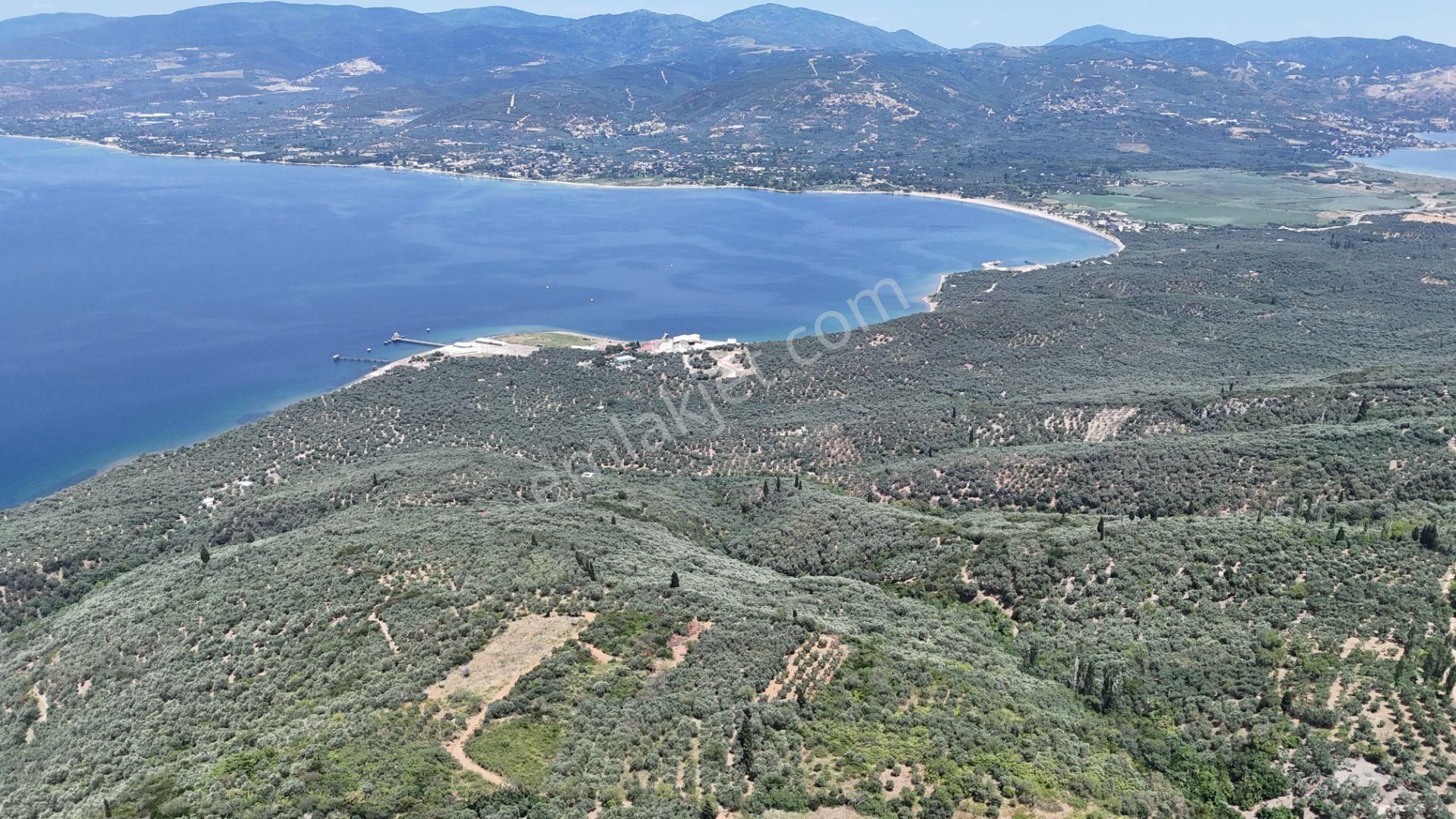 Çalışkanlar Gyo'dan Edincik'te Satılık 3480 M2 Satılık Fırsat! - Görsel 32