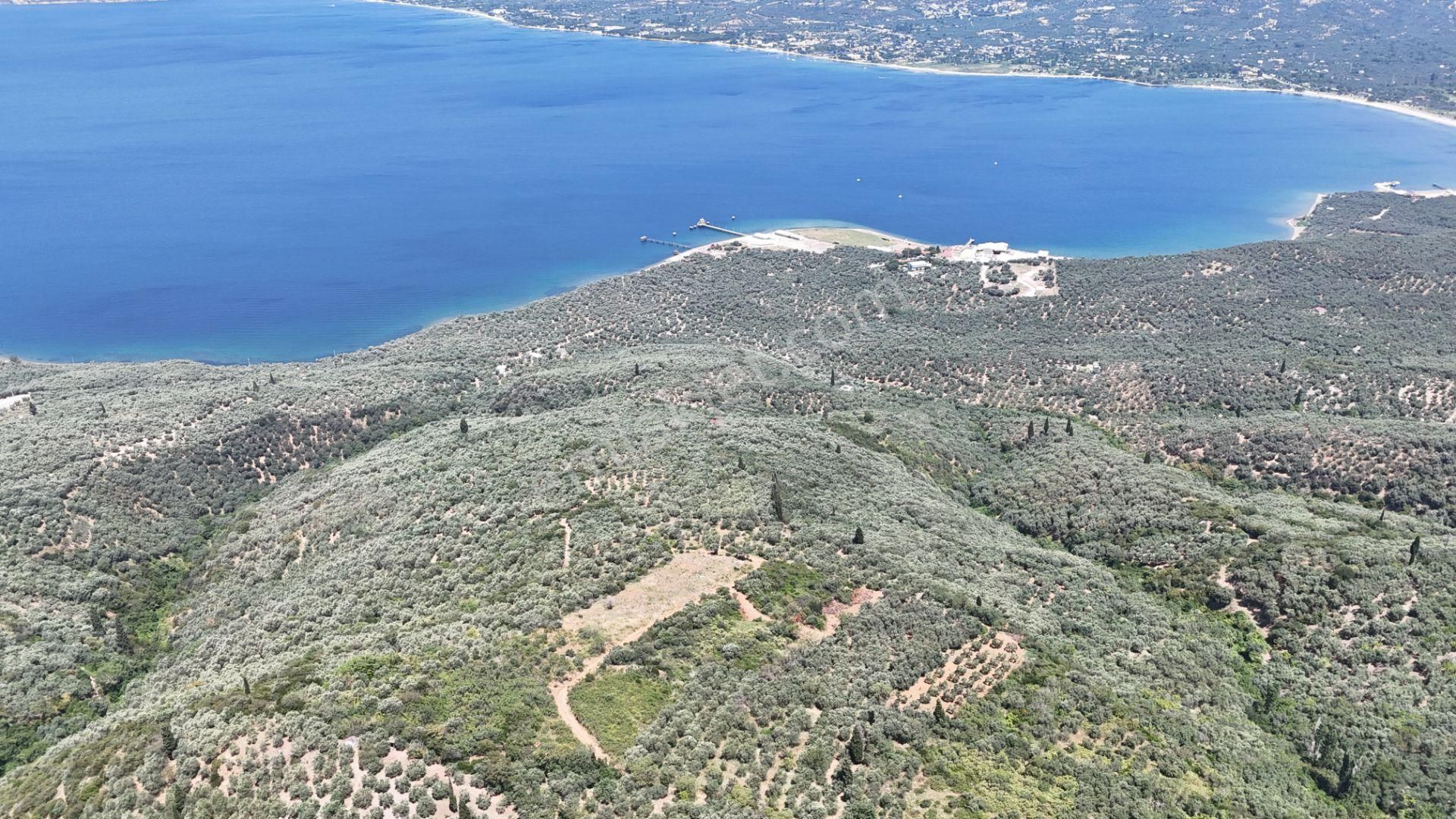Çalışkanlar Gyo'dan Edincik'te Satılık 3480 M2 Satılık Fırsat! - Görsel 13