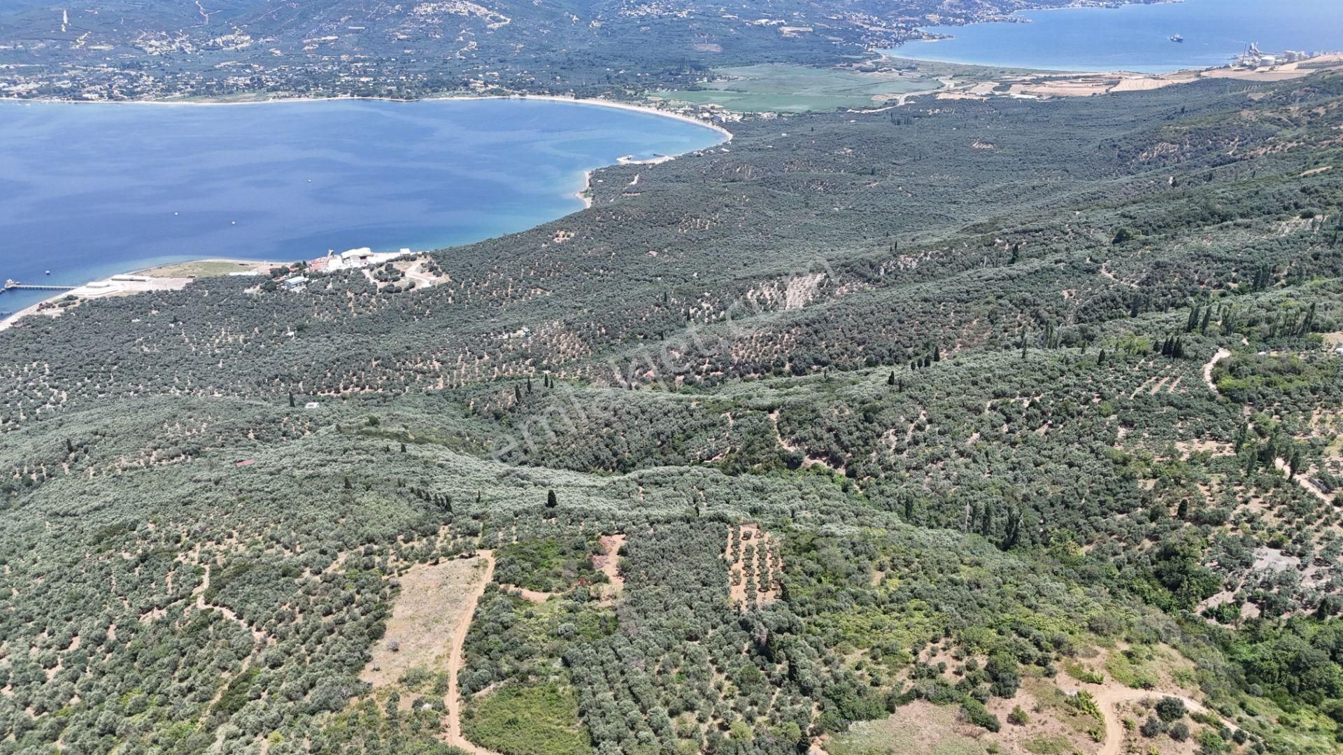 Çalışkanlar Gyo'dan Edincik'te Satılık 3480 M2 Satılık Fırsat! - Görsel 27