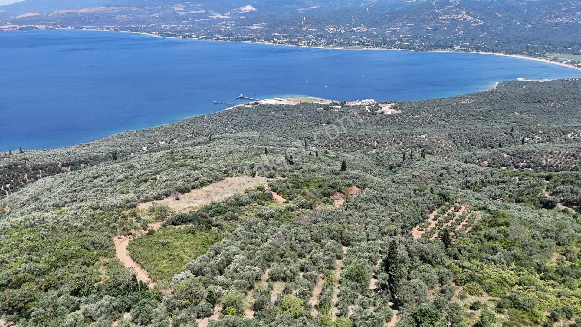 Çalışkanlar Gyo'dan Edincik'te Satılık 3480 M2 Satılık Fırsat! - Görsel 9