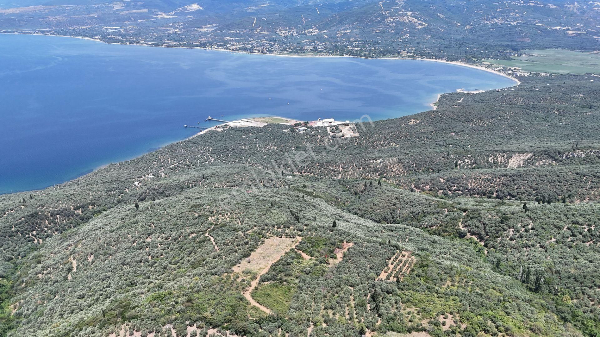 Çalışkanlar Gyo'dan Edincik'te Satılık 3480 M2 Satılık Fırsat! - Görsel 23
