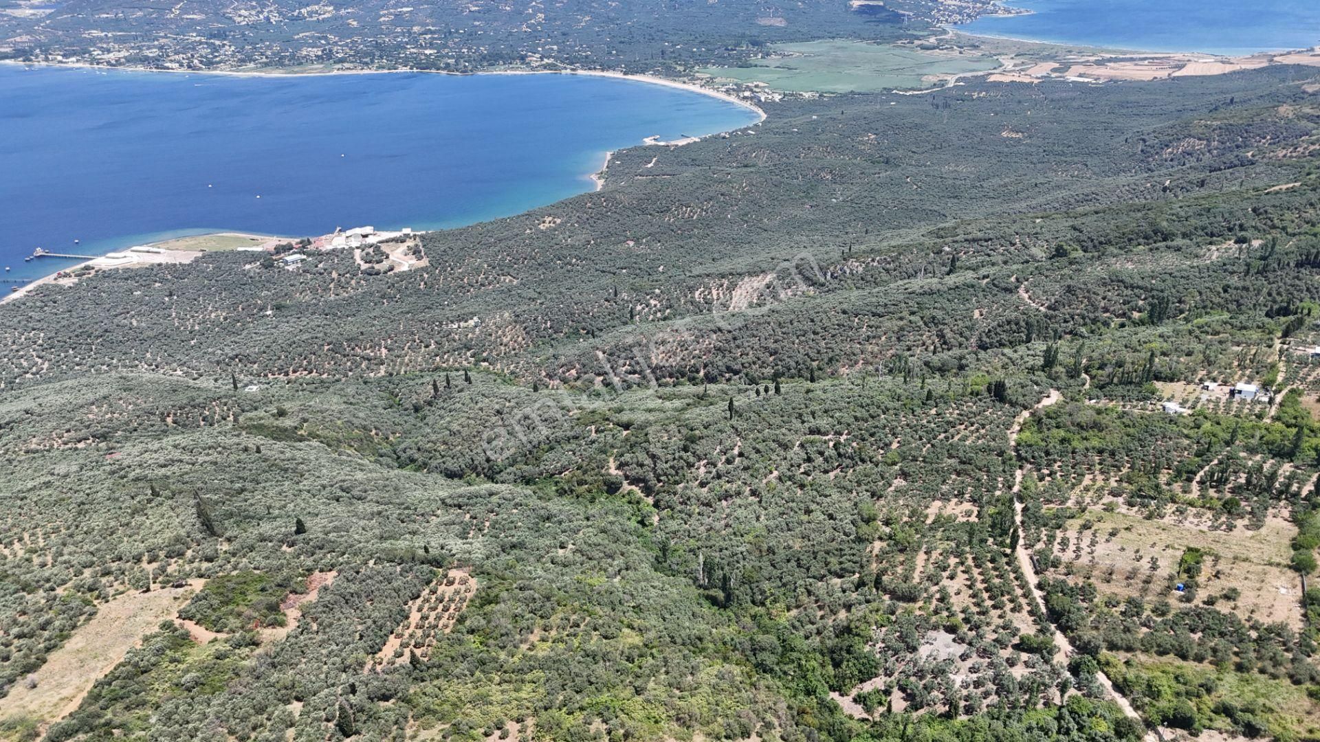 Çalışkanlar Gyo'dan Edincik'te Satılık 3480 M2 Satılık Fırsat! - Görsel 14