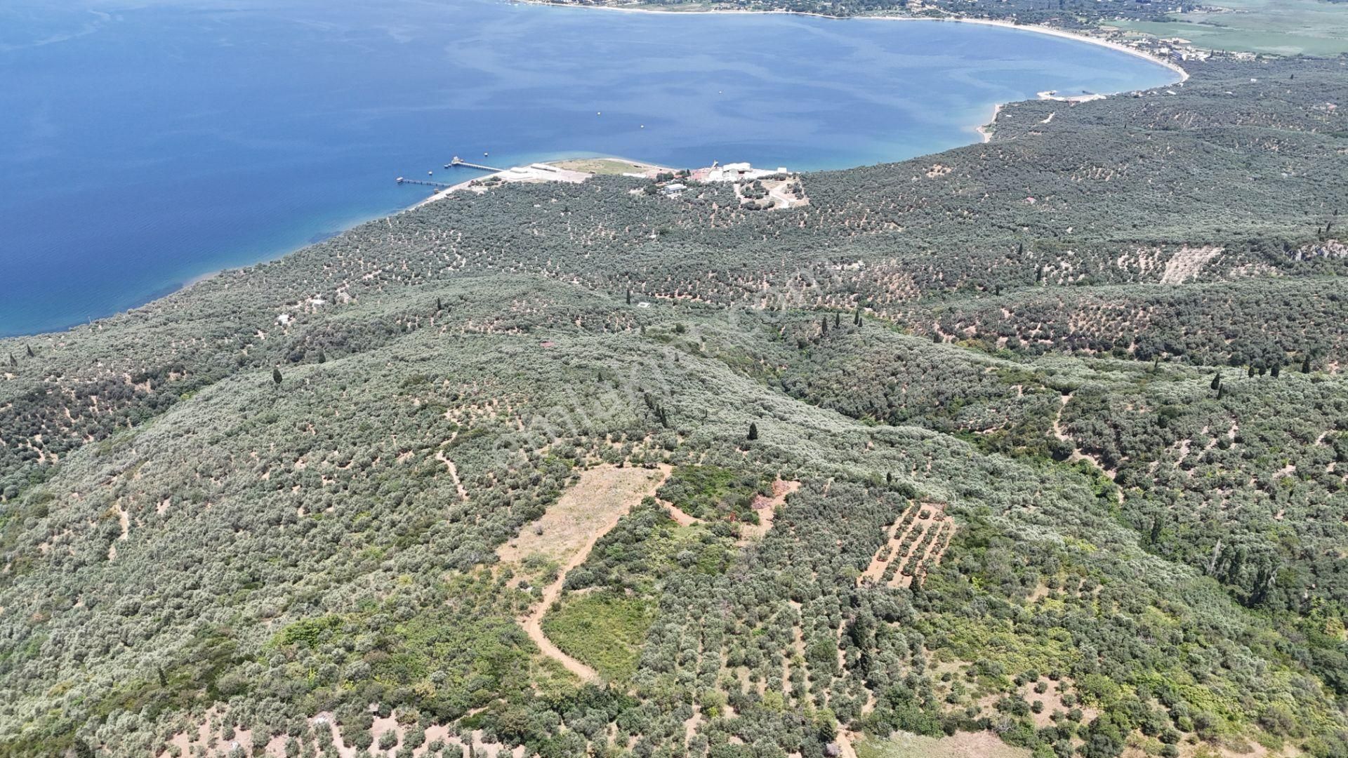 Çalışkanlar Gyo'dan Edincik'te Satılık 3480 M2 Satılık Fırsat! - Görsel 26