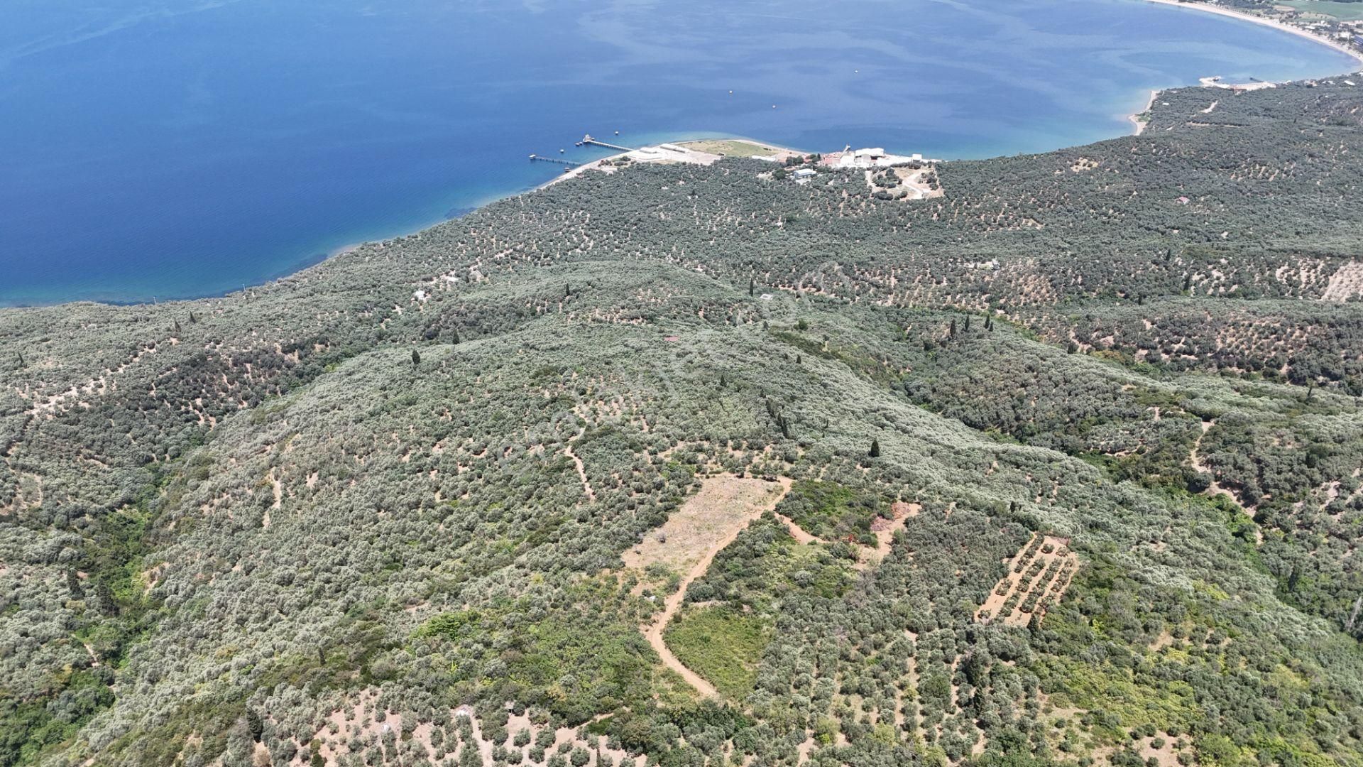 Çalışkanlar Gyo'dan Edincik'te Satılık 3480 M2 Satılık Fırsat! - Görsel 21