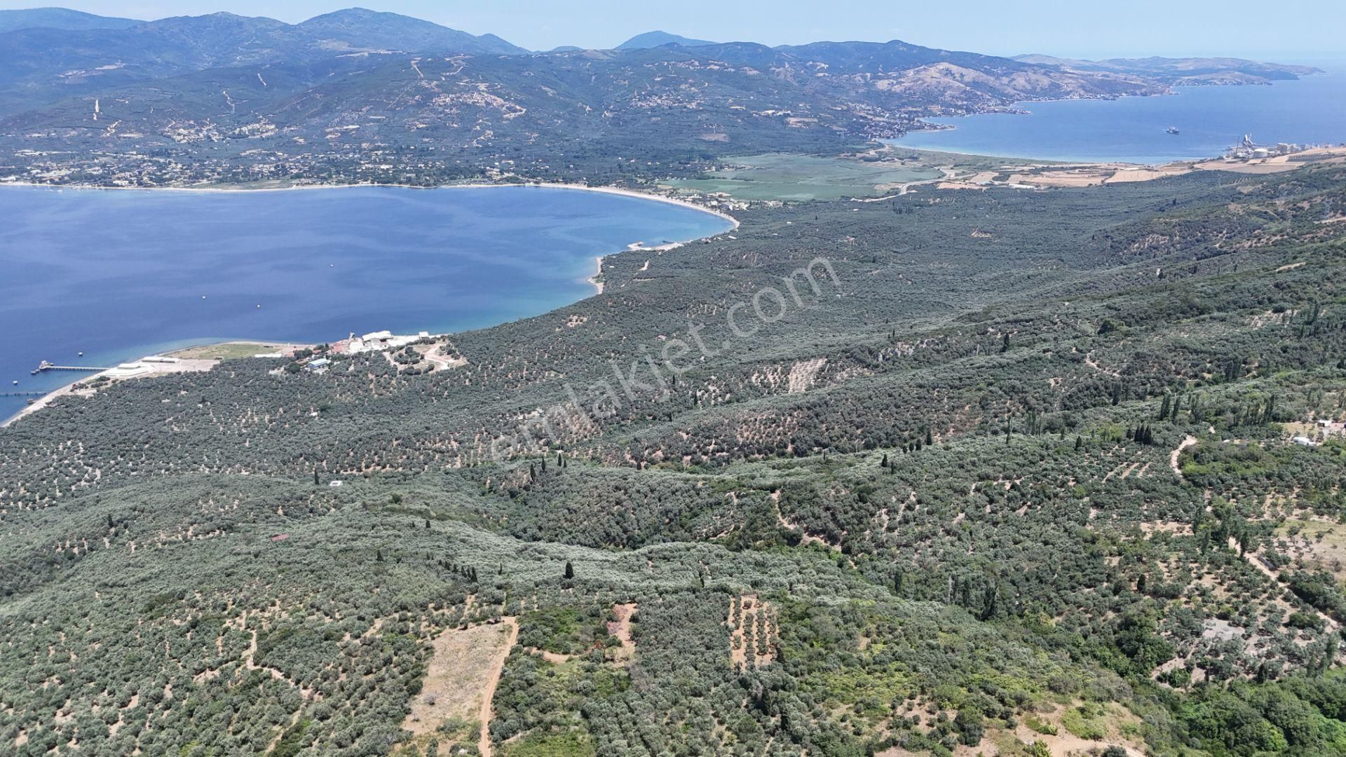 Çalışkanlar Gyo'dan Edincik'te Satılık 3480 M2 Satılık Fırsat! - Görsel 28