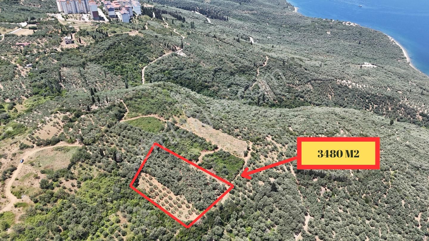 Çalışkanlar Gyo'dan Edincik'te Satılık 3480 M2 Satılık Fırsat! - Görsel 2