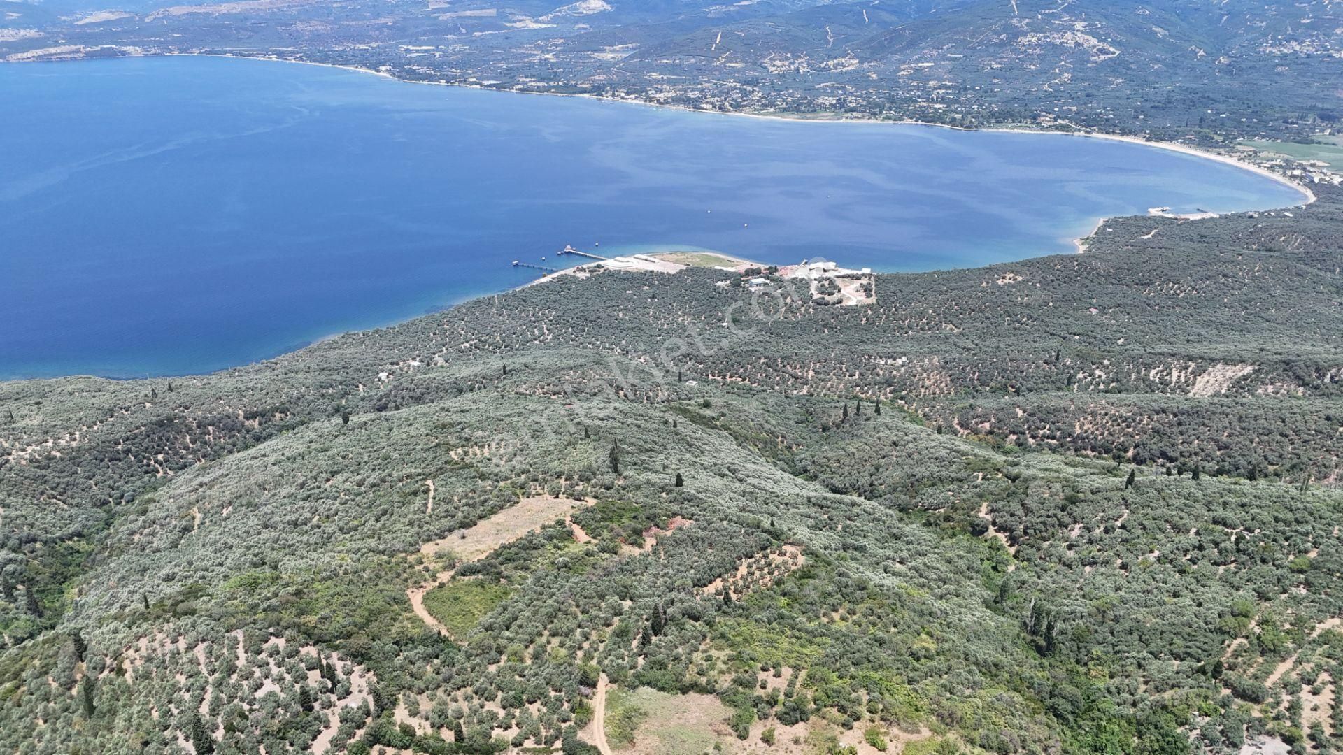 Çalışkanlar Gyo'dan Edincik'te Satılık 3480 M2 Satılık Fırsat! - Görsel 34