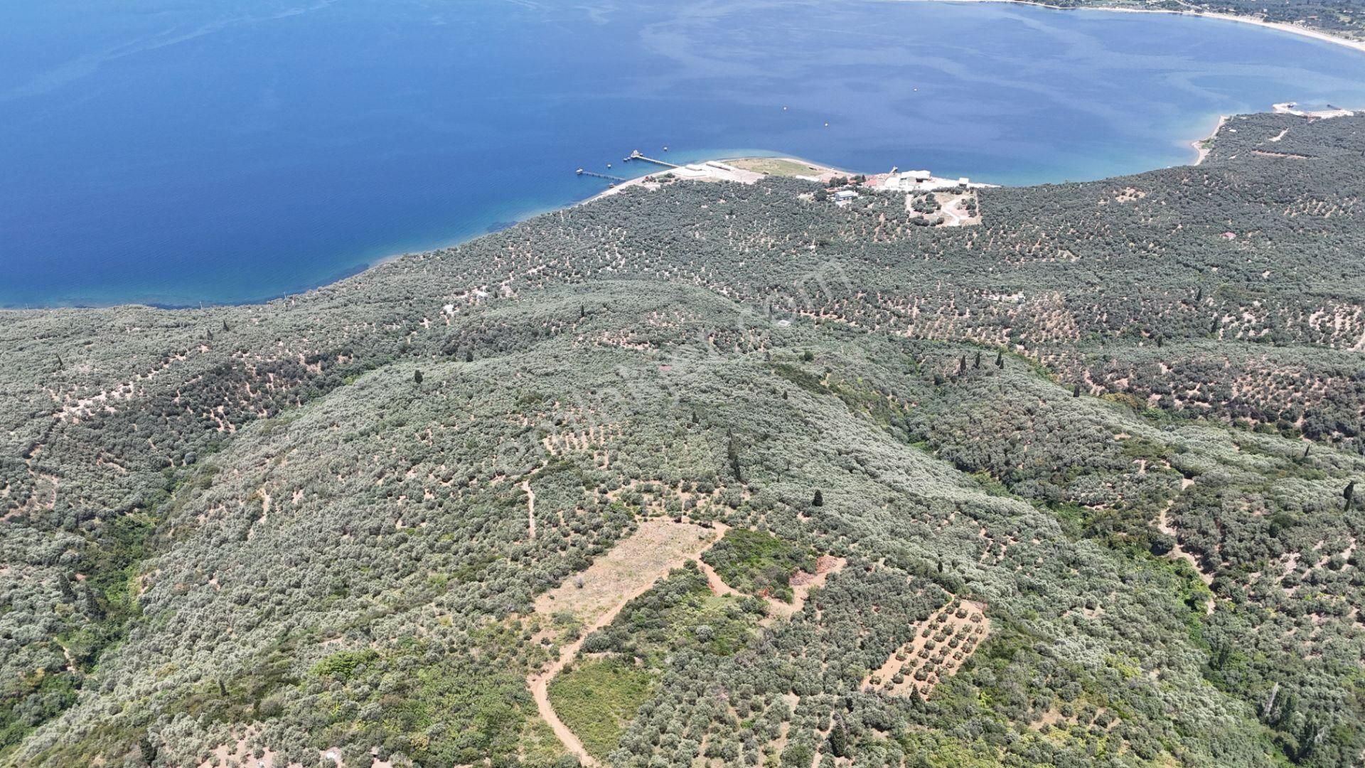 Çalışkanlar Gyo'dan Edincik'te Satılık 3480 M2 Satılık Fırsat! - Görsel 18