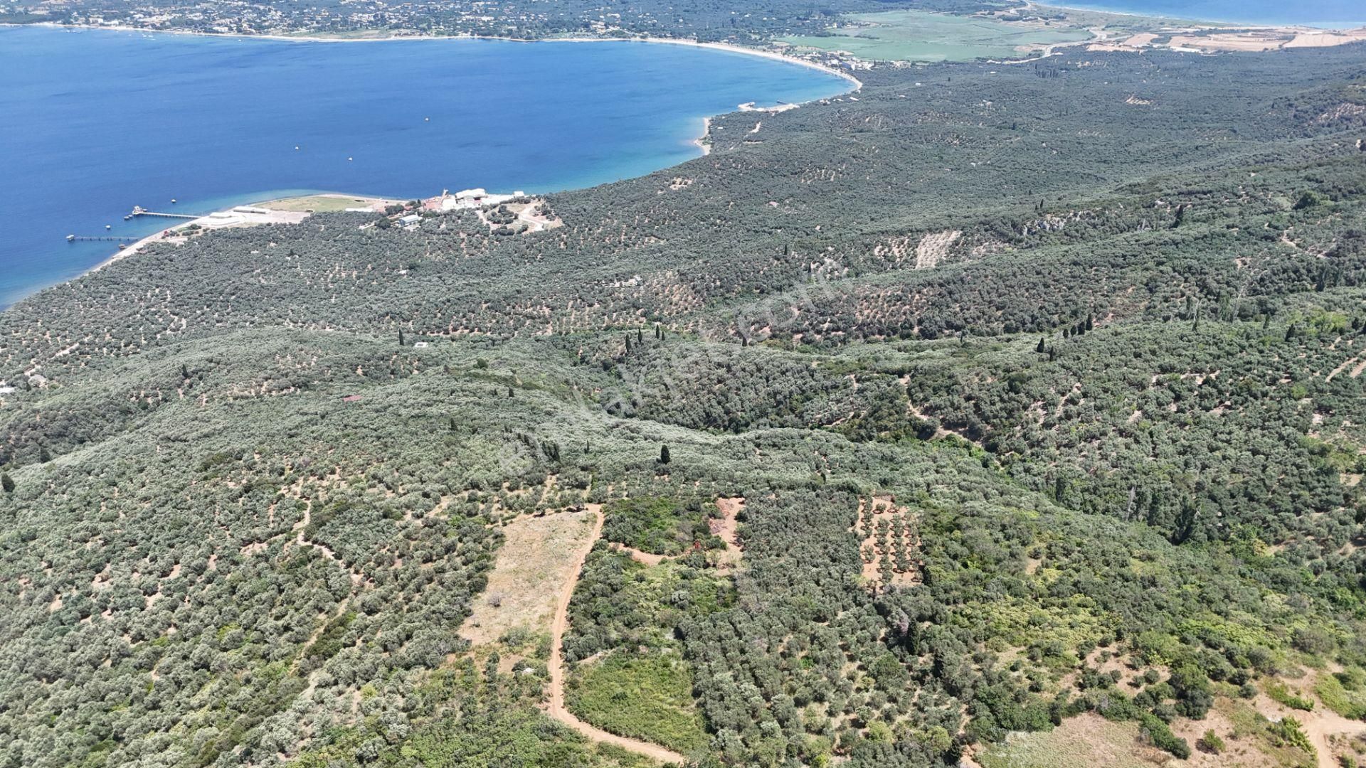 Çalışkanlar Gyo'dan Edincik'te Satılık 3480 M2 Satılık Fırsat! - Görsel 5