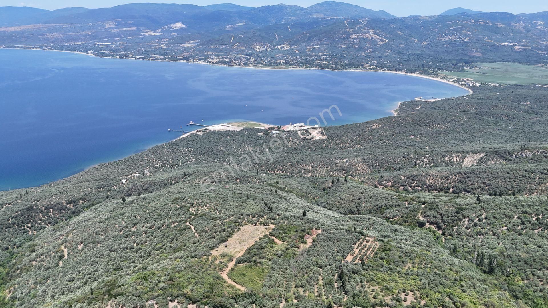 Çalışkanlar Gyo'dan Edincik'te Satılık 3480 M2 Satılık Fırsat! - Görsel 24