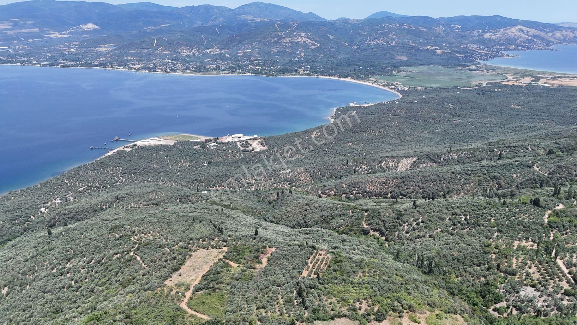 Çalışkanlar Gyo'dan Edincik'te Satılık 3480 M2 Satılık Fırsat! - Görsel 31
