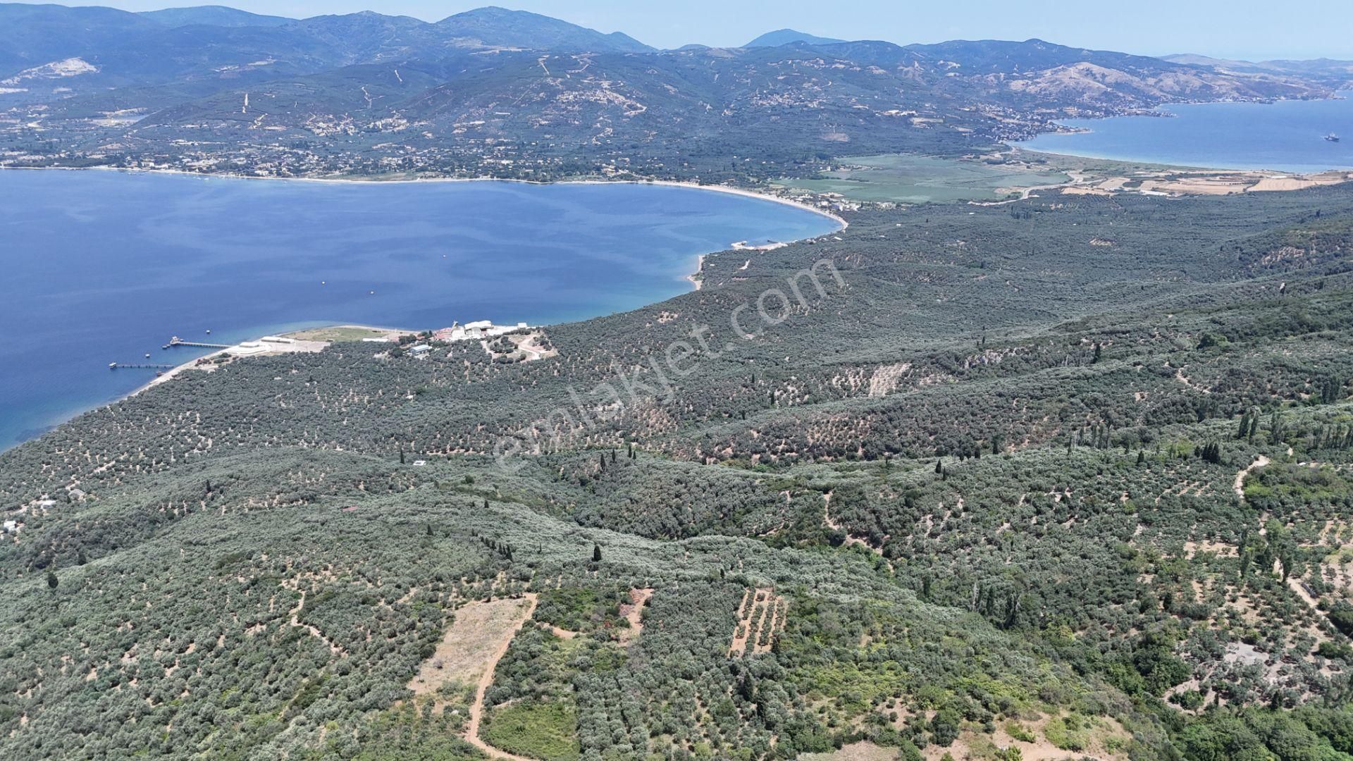 Çalışkanlar Gyo'dan Edincik'te Satılık 3480 M2 Satılık Fırsat! - Görsel 30