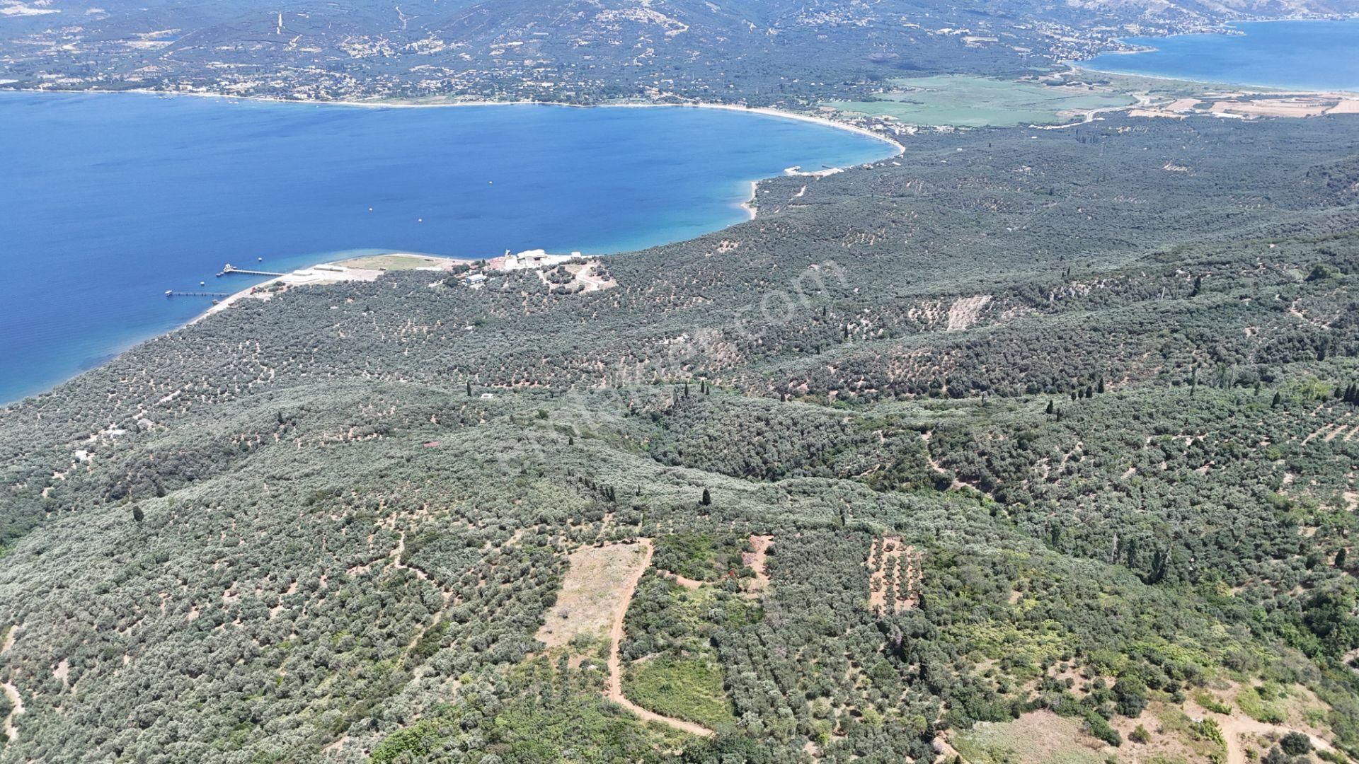 Çalışkanlar Gyo'dan Edincik'te Satılık 3480 M2 Satılık Fırsat! - Görsel 6