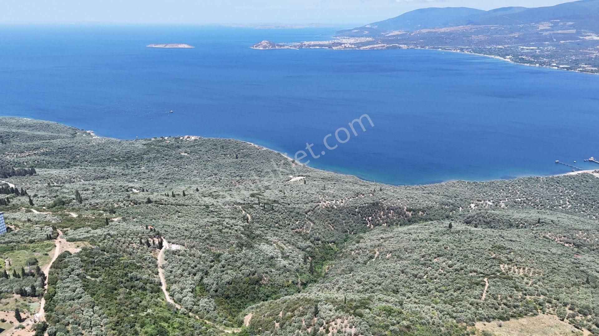 Çalışkanlar Gyo'dan Edincik'te Satılık 3480 M2 Satılık Fırsat! - Görsel 15