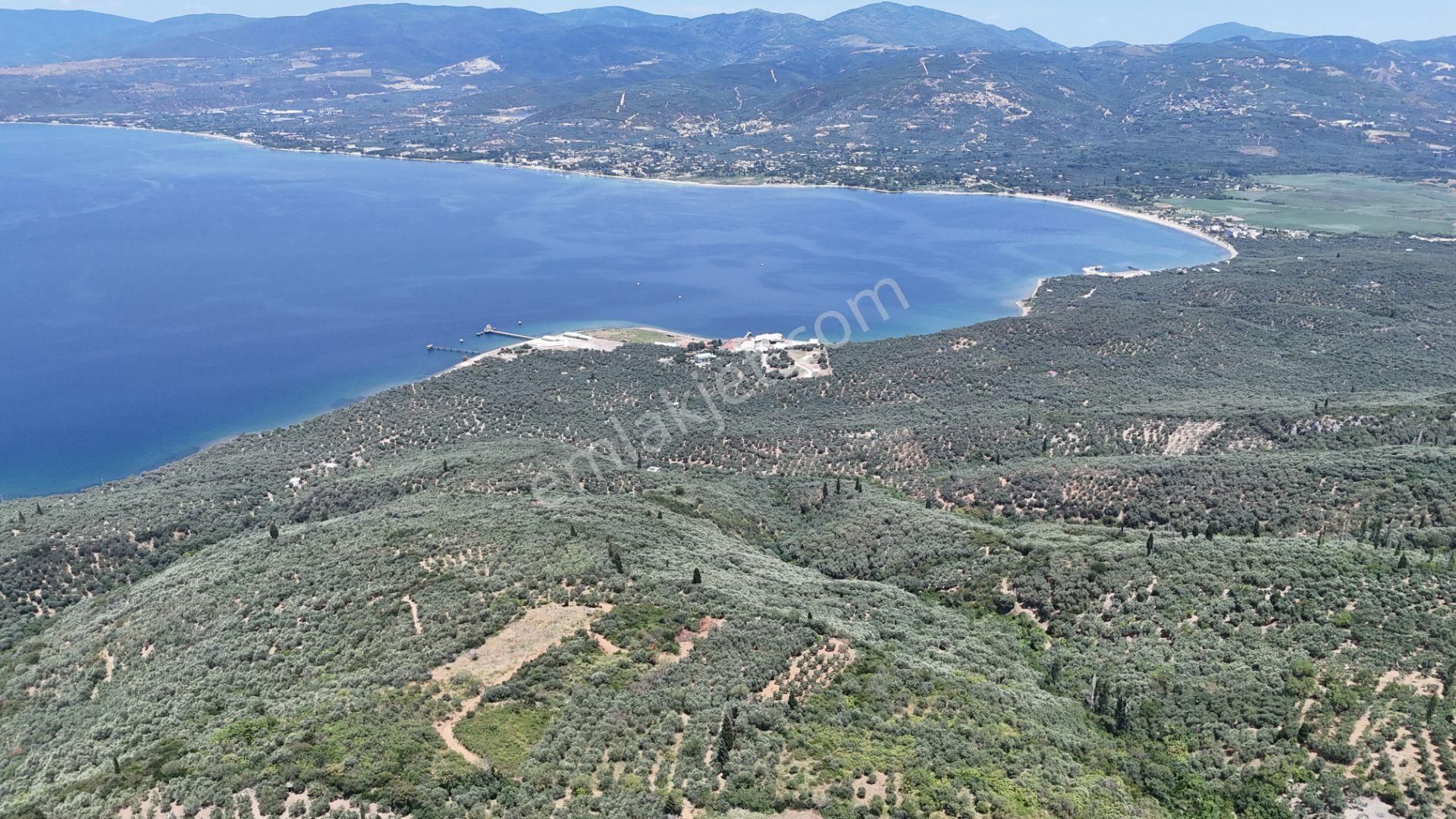 Çalışkanlar Gyo'dan Edincik'te Satılık 3480 M2 Satılık Fırsat! - Görsel 33