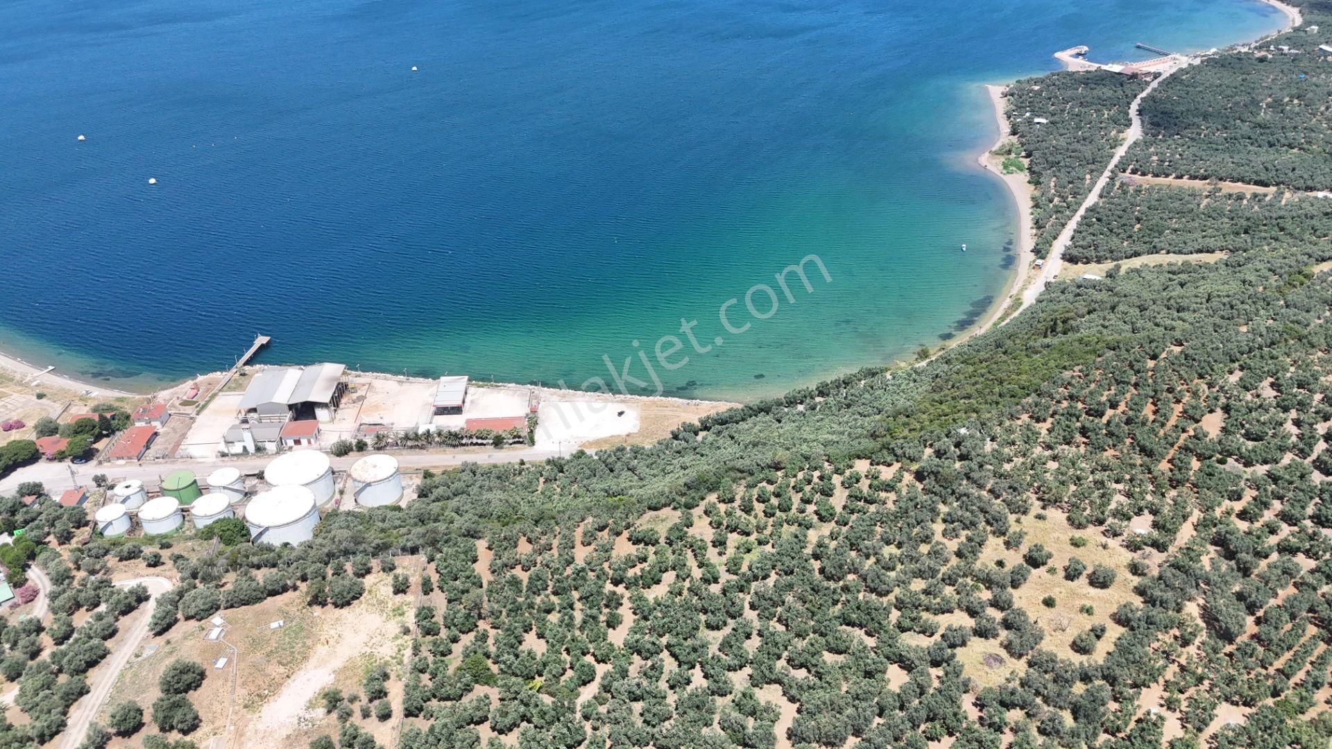 Çalışkanlar Gyo'dan Edincik'te Satılık 3480 M2 Satılık Fırsat! - Görsel 17
