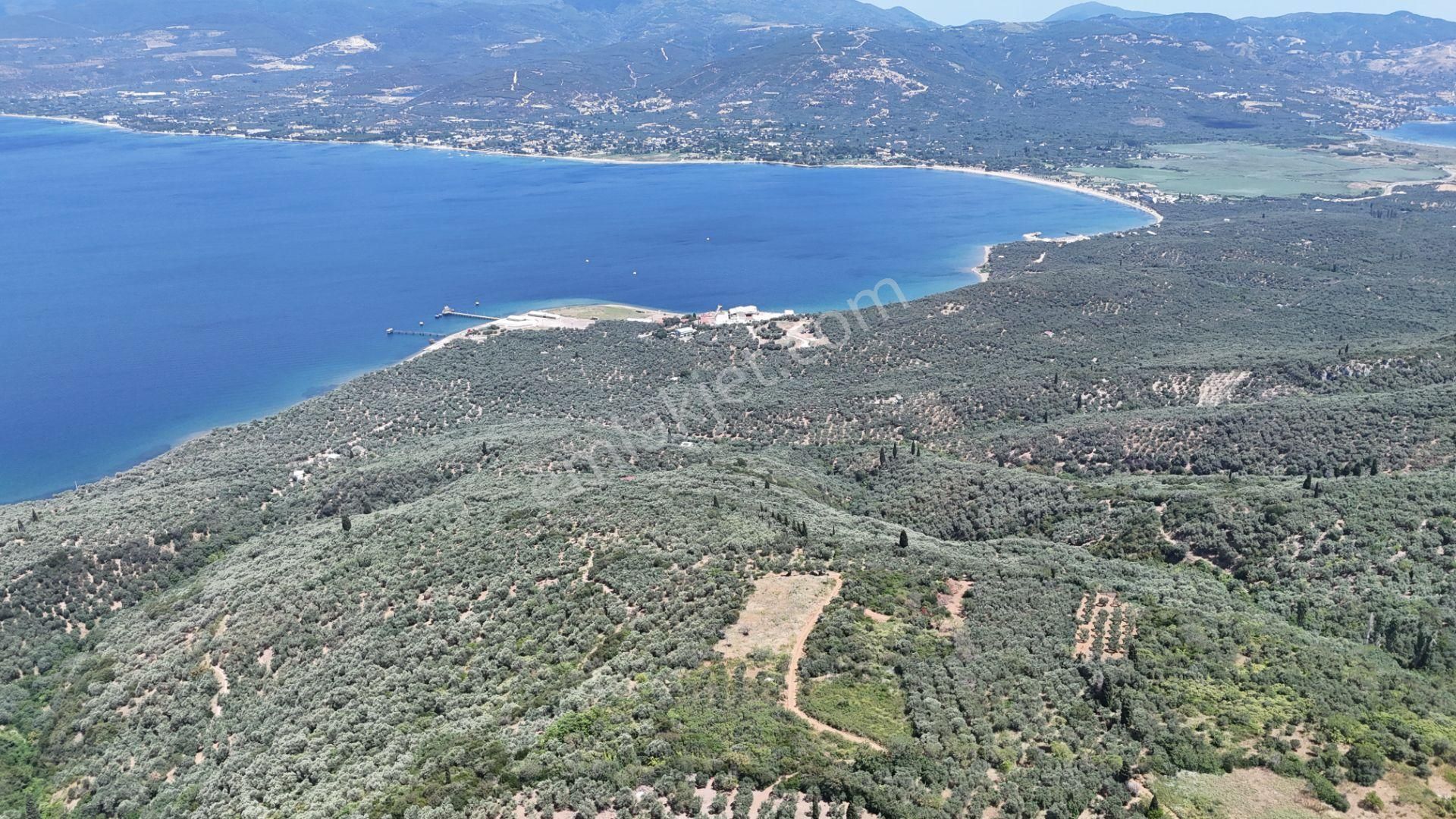 Çalışkanlar Gyo'dan Edincik'te Satılık 3480 M2 Satılık Fırsat! - Görsel 4