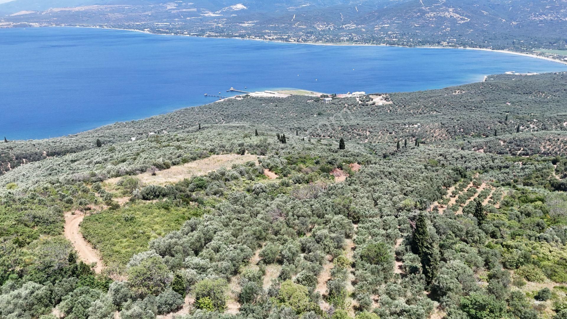 Çalışkanlar Gyo'dan Edincik'te Satılık 3480 M2 Satılık Fırsat! - Görsel 10