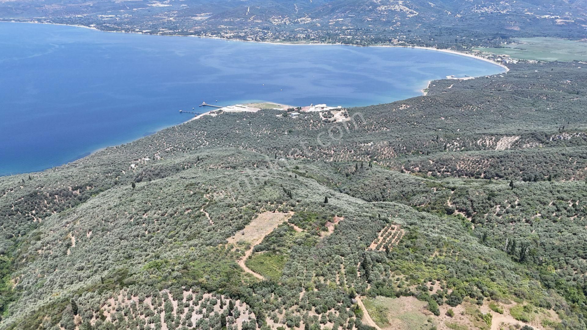 Çalışkanlar Gyo'dan Edincik'te Satılık 3480 M2 Satılık Fırsat! - Görsel 25