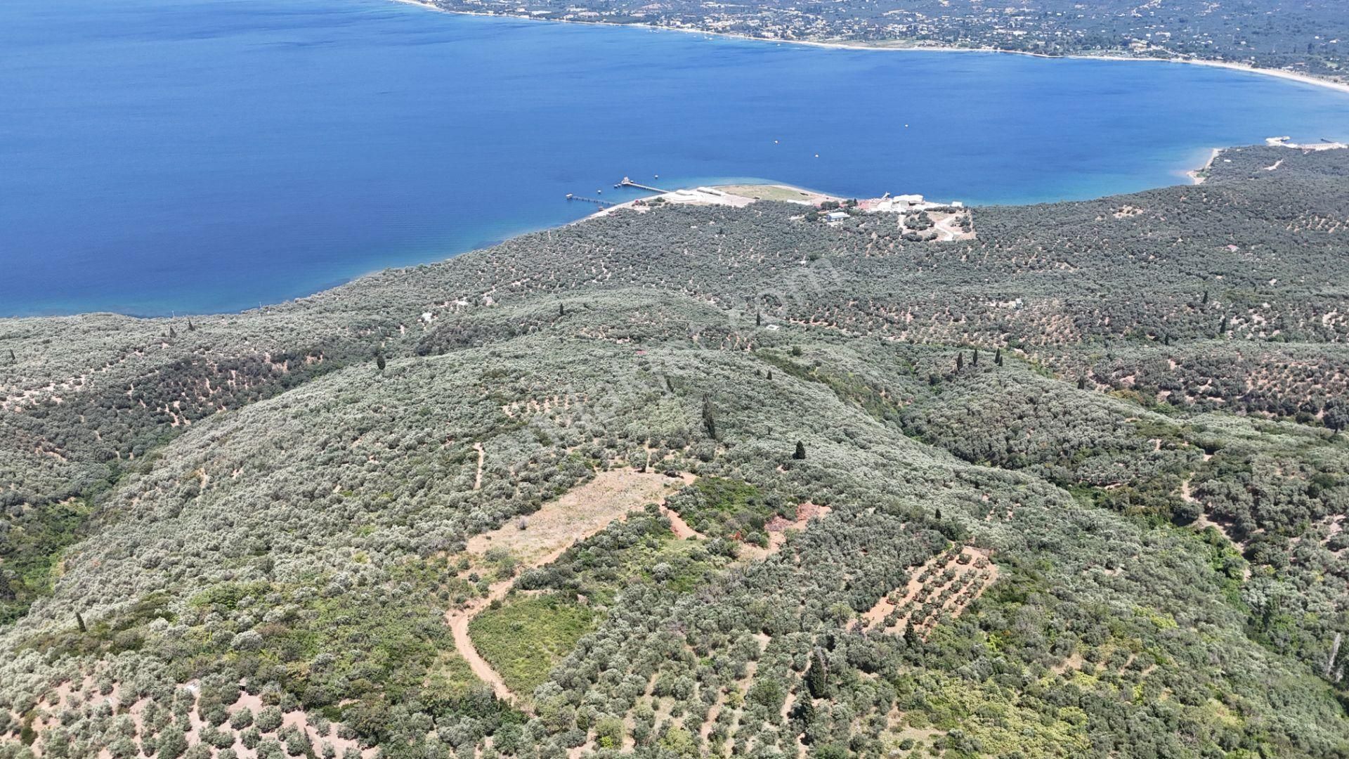 Çalışkanlar Gyo'dan Edincik'te Satılık 3480 M2 Satılık Fırsat! - Görsel 8
