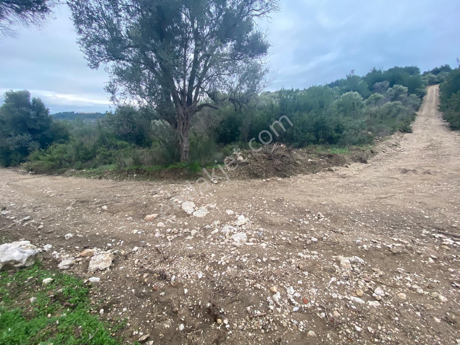 İzmir Bornovada Satılık Arazi - Görsel 22